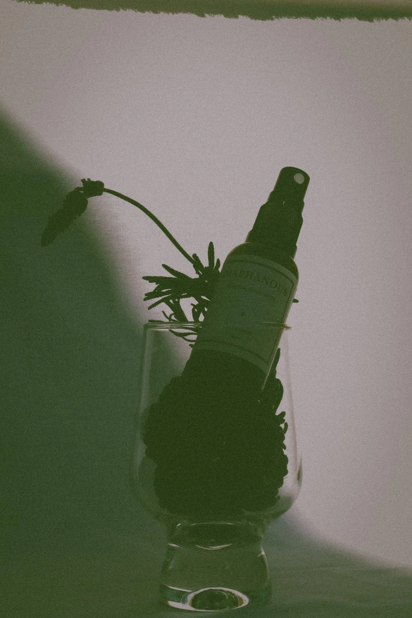 A face mist bottle inside a clear glass, with dried herbs and plants in shadows.