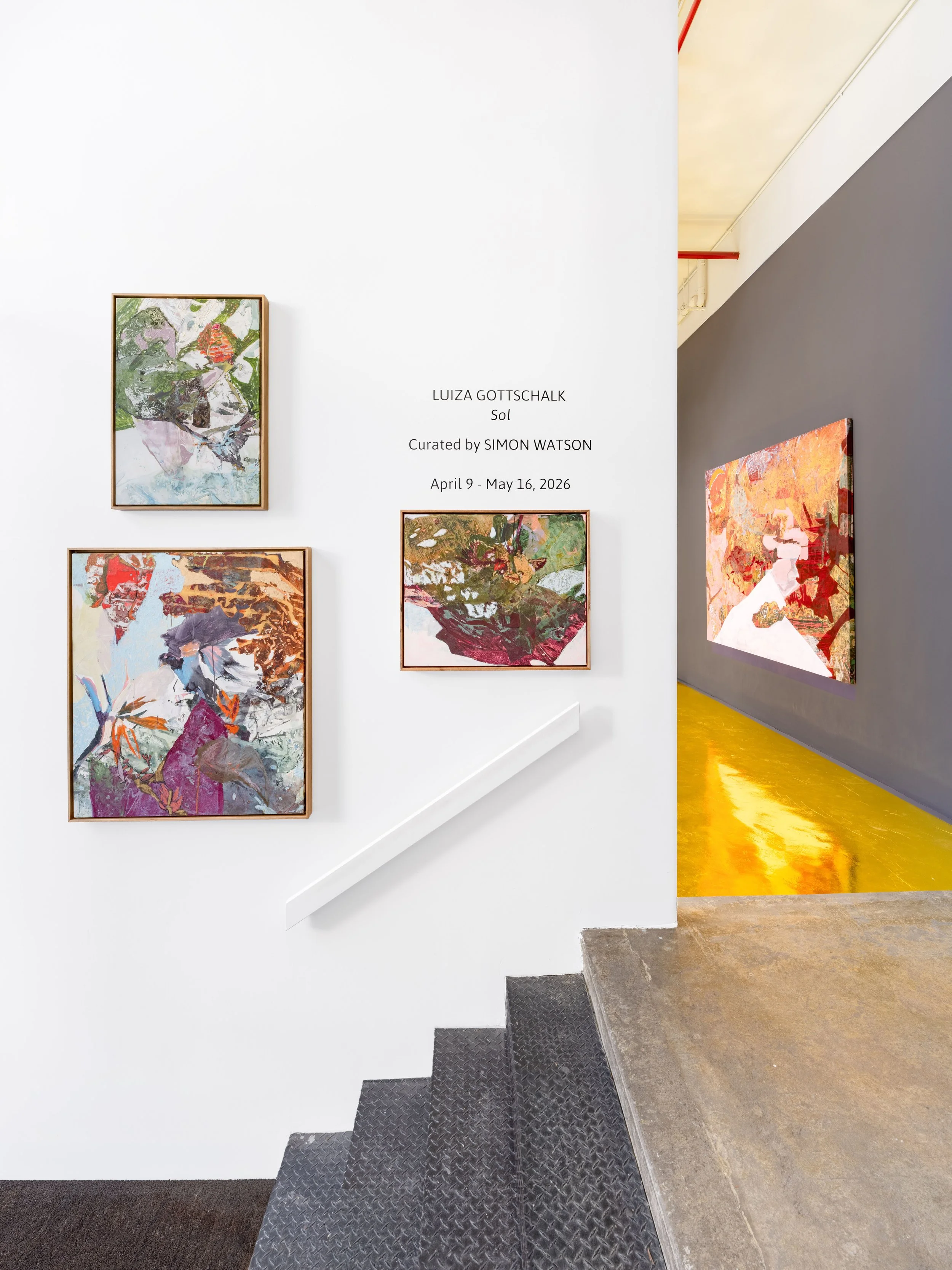 1 SOL_LuizaGottschalk.01__ PH_ On white wall.jpeg