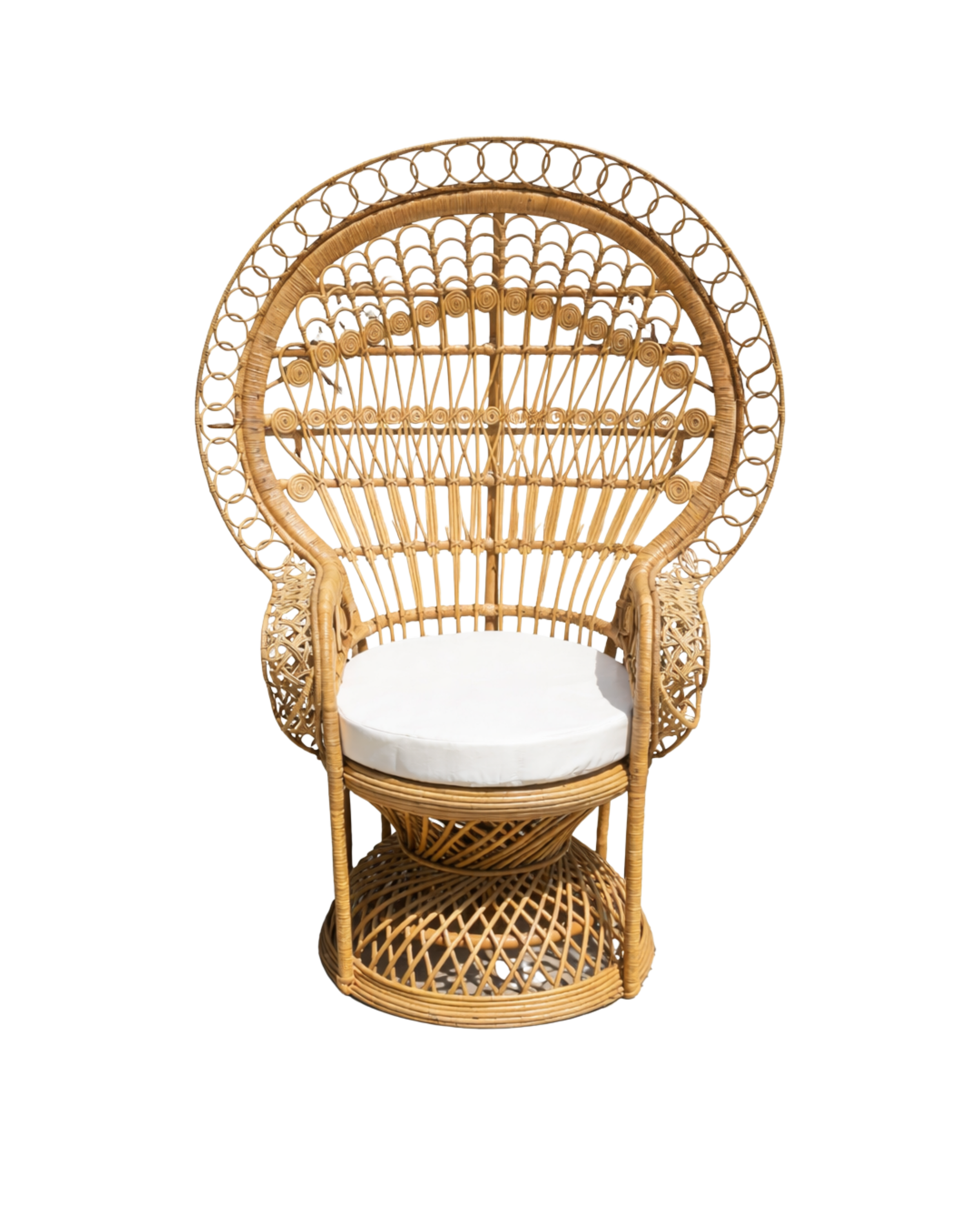 Peacock Chair