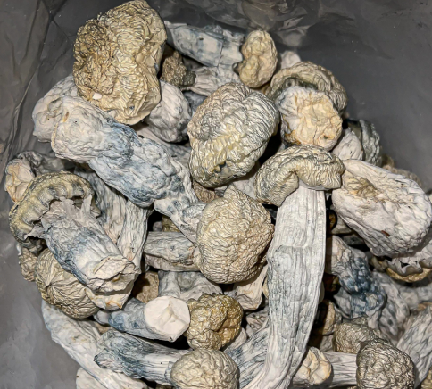 COSMIS GHOST RIDER.png