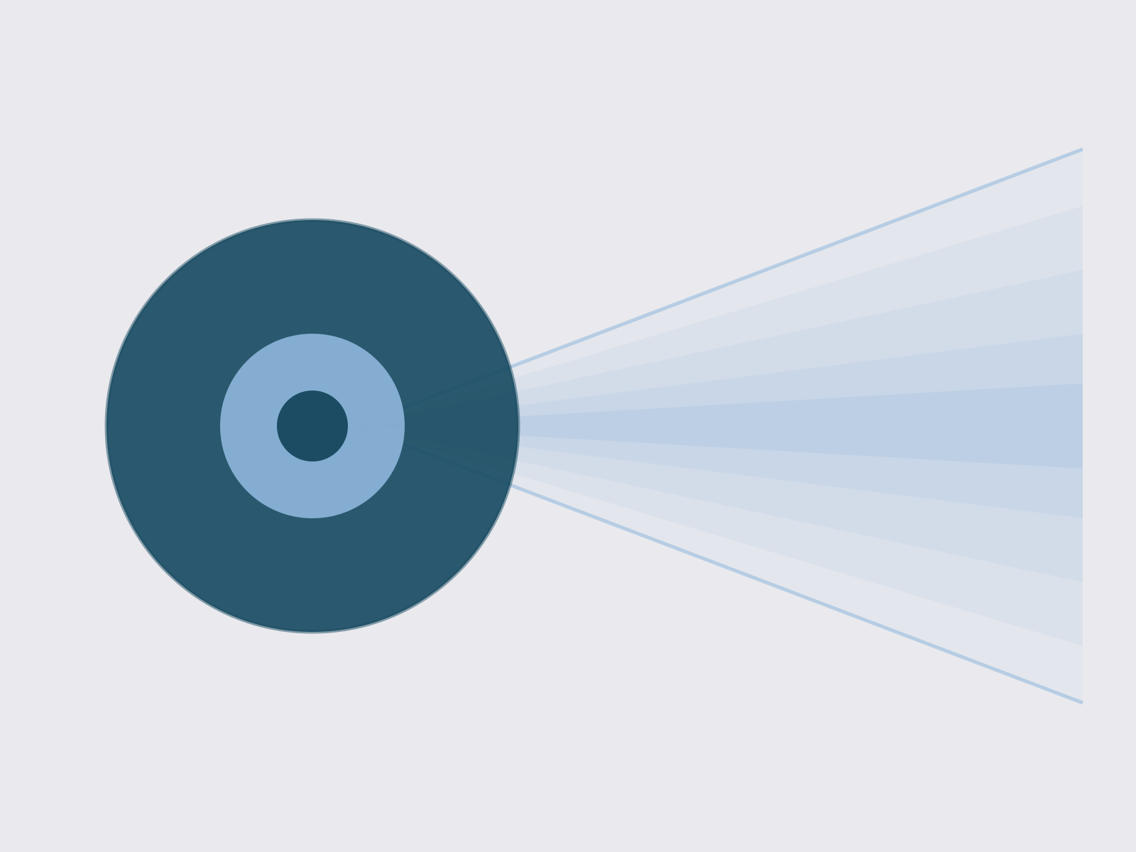 A green circular chart with three concentric rings and rays extending outward, against a light background.