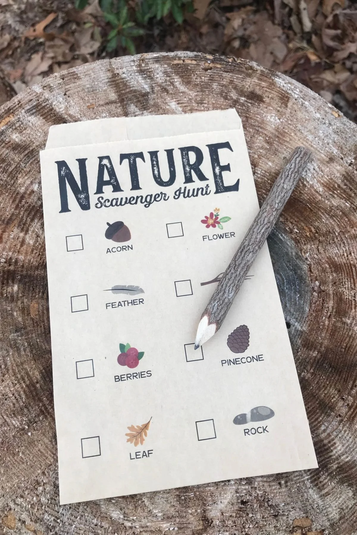 Fun Activities for a Woodland Creatures-Themed Party