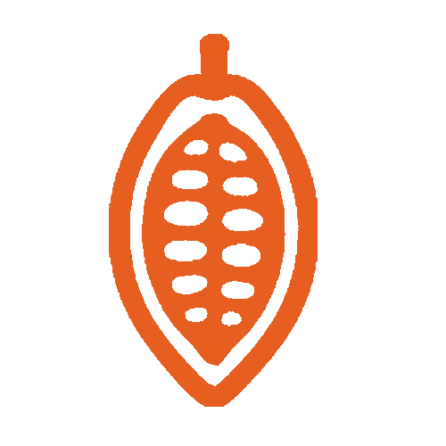 Illustration of a cocao pod with seeds inside.