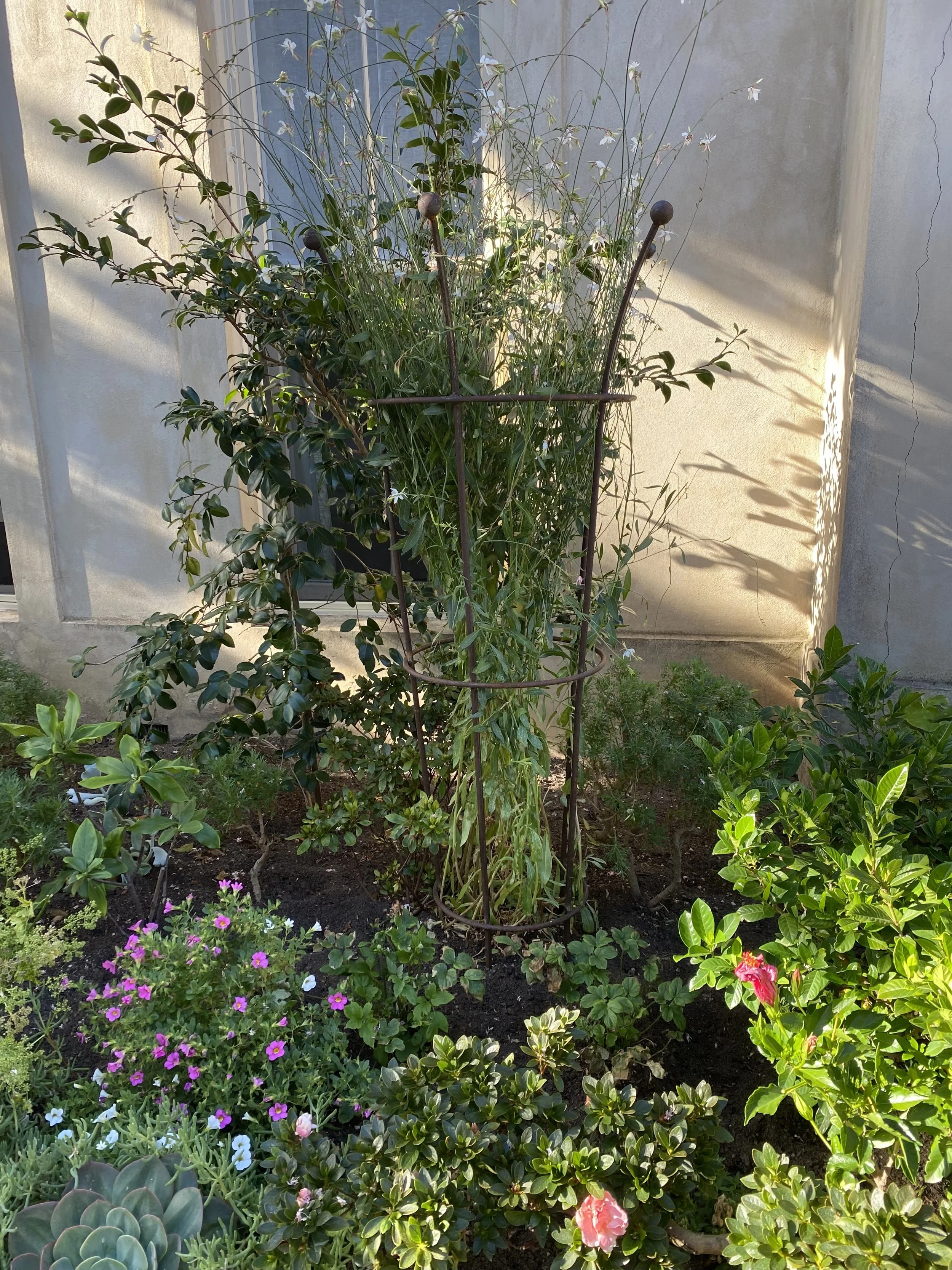 Durham Garden 1.5  support .jpg