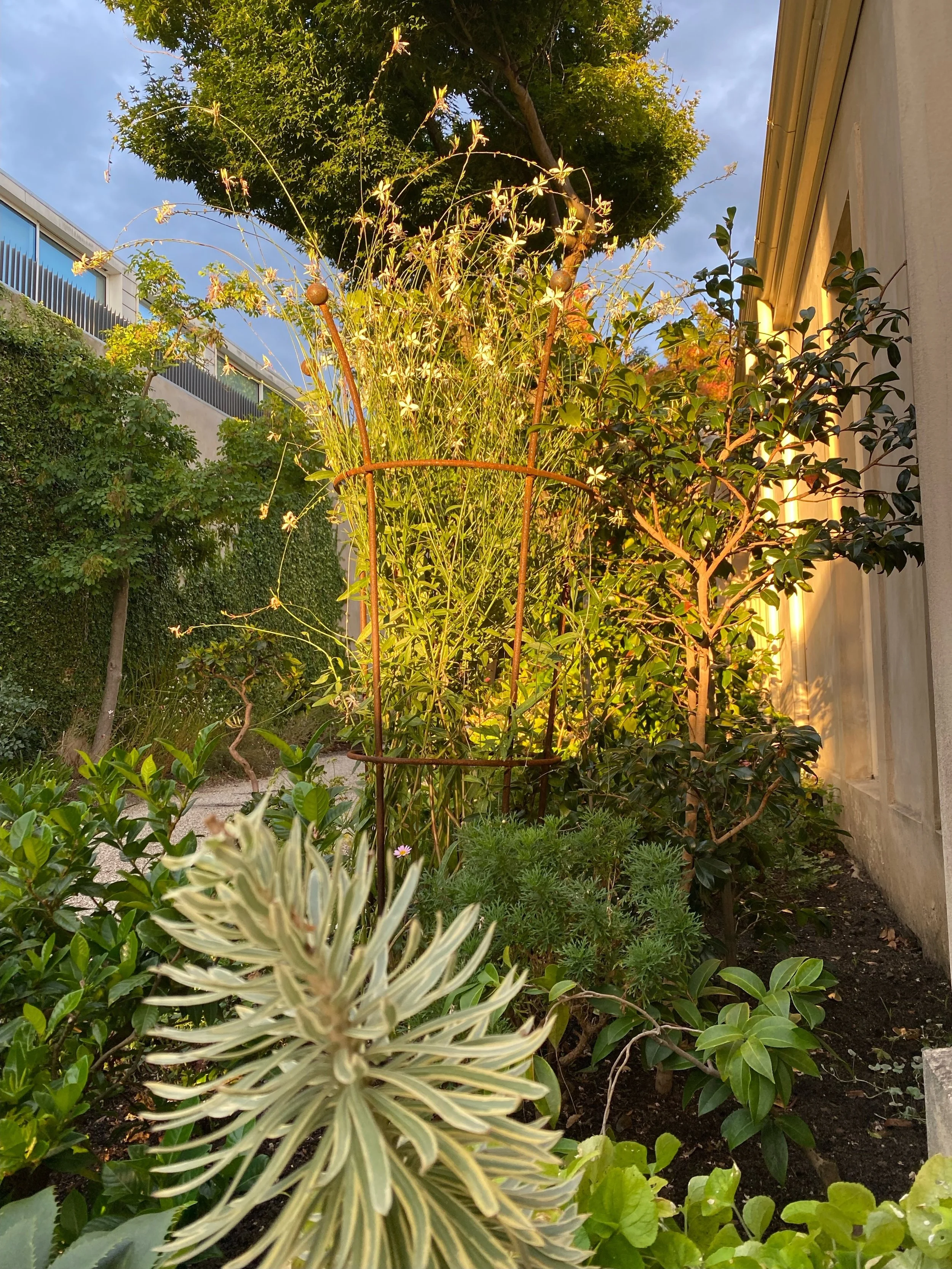 Durham Garden 1.5 plant support.jpeg