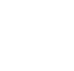 Hawkins Coaching