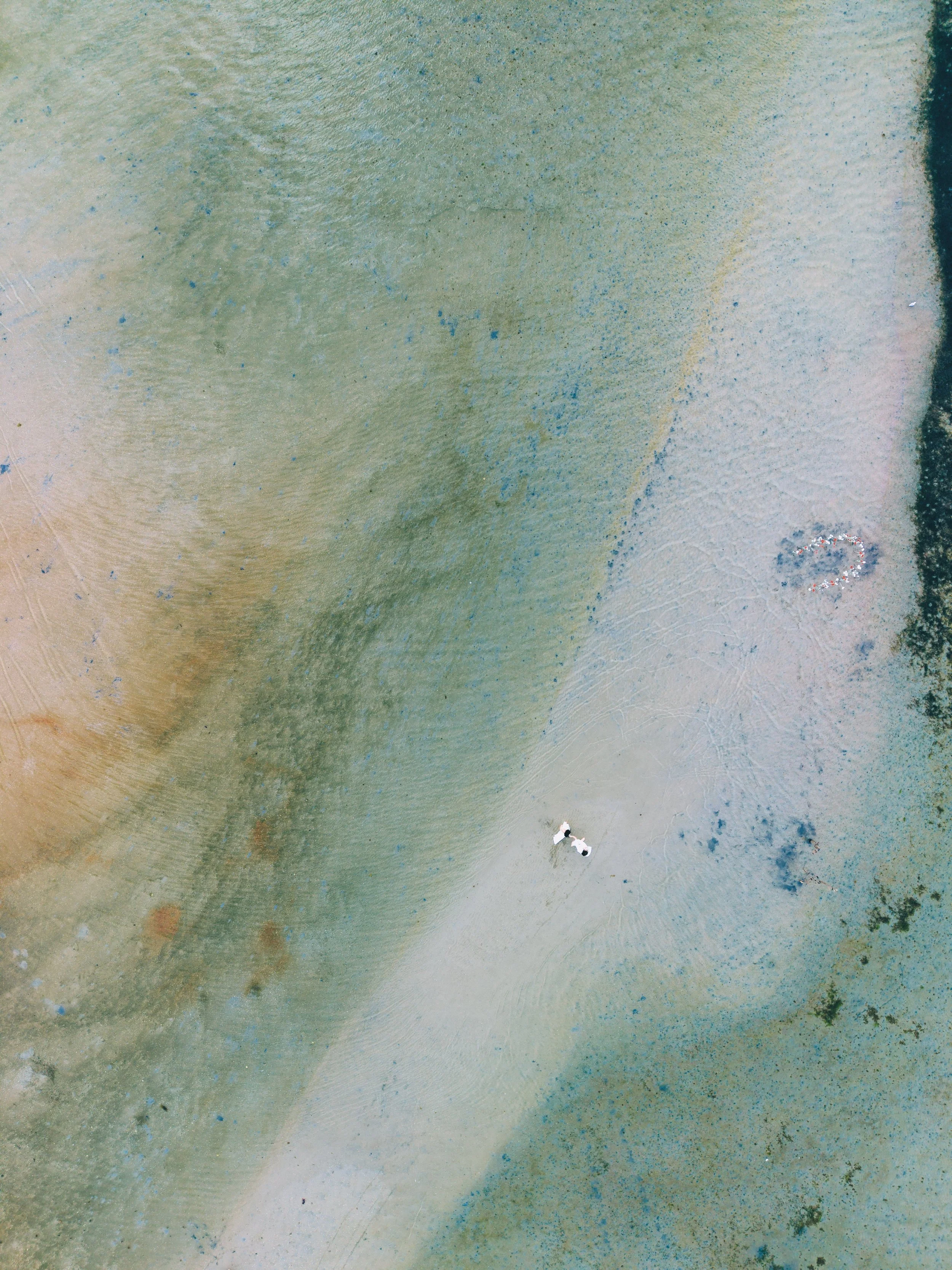 DJI_20260209153212_0134_D.jpeg
