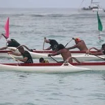 REGATTA