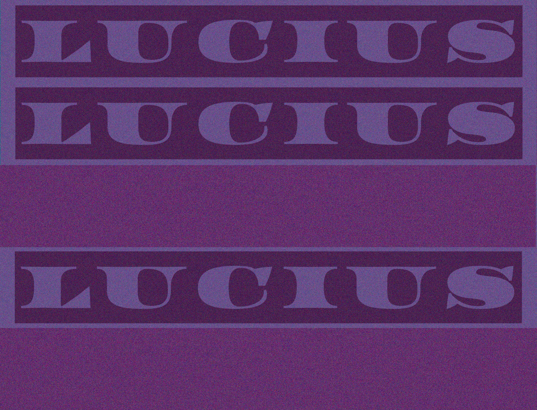 The image has the text 'LUCIUS' repeated twice, once at the top and once at the bottom, with a large blank purple space in the middle. The background and text are shades of purple.