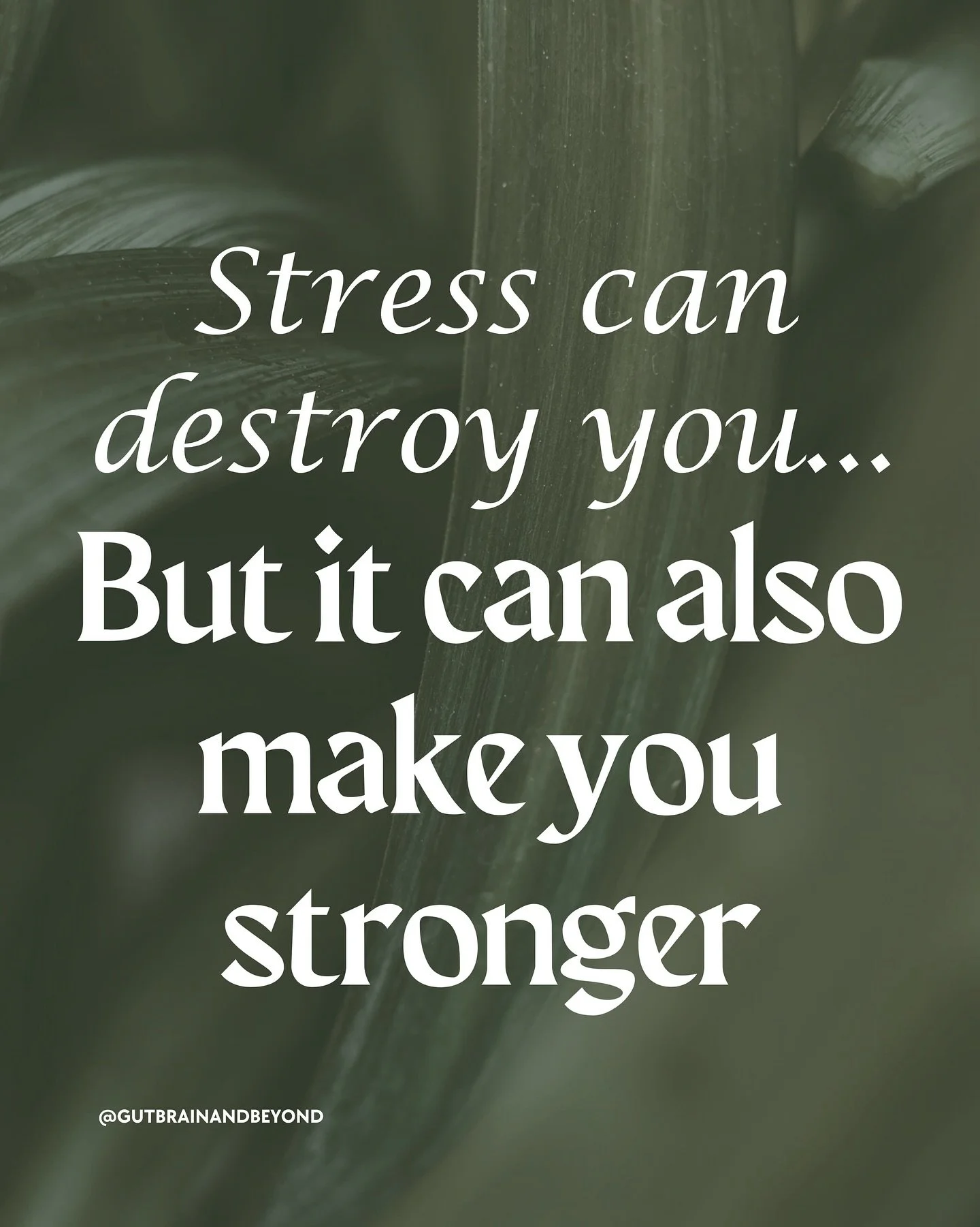 Did you know not all stress is bad? In fact, by incorporating controlled acute stress into your routine, you can help your body to deal with situations that cause chronic stress better as well as boost alertness, enhance performance, and boost your r
