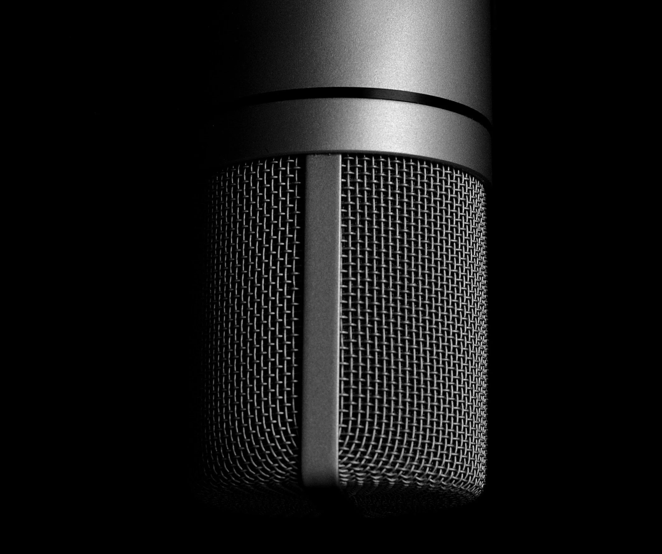 Agentic AI - The Year AI Got It’s Voice