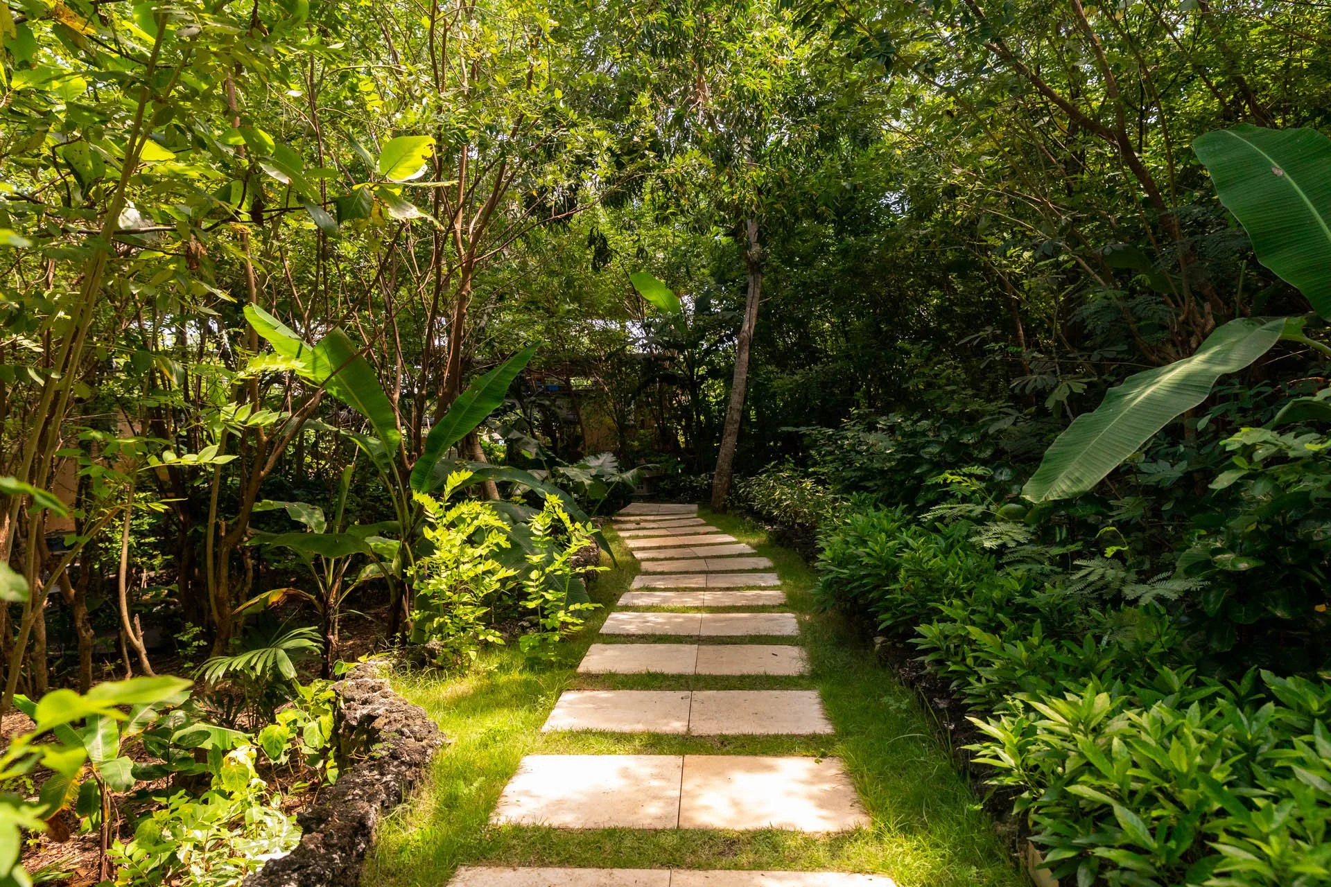 Jungleview 2-@teisbe-1920-150dpi-2021.jpg