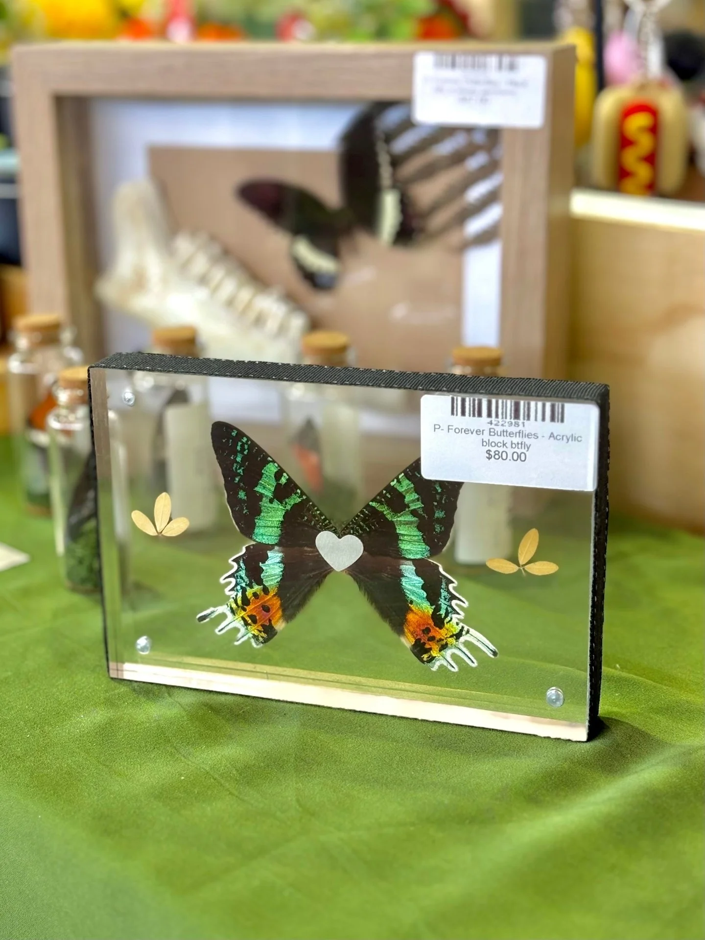 🦋 Created to last forever.
A goldmine of gorgeous preserved creatures can be found at Forever Butterflies.
Instore now at Market Fair, Preston.
*
*
*
*
*
#handmade #handmadeproducts #handmadegifts #handmadebusiness #handmadewithlove #handmadecrafts 