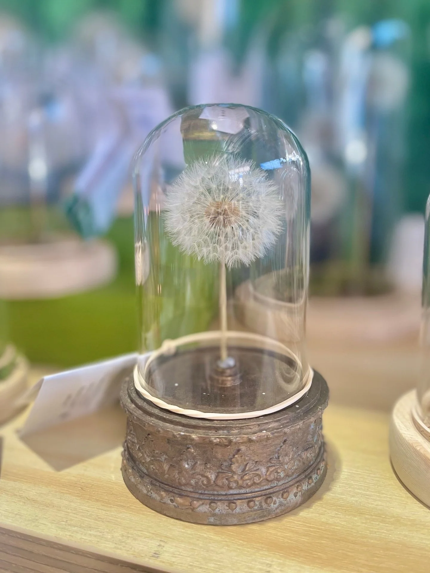 Never ending wishes 🌼
This intricate preserved dandelion in a jar is the perfect gift for that special occasion, or a just because! Find them in the Naturometry stall at Market Fair Ferntree Gully! 🧚✨
*
*
*
*
*
#vintagestore #thingstodoinmelbourne 