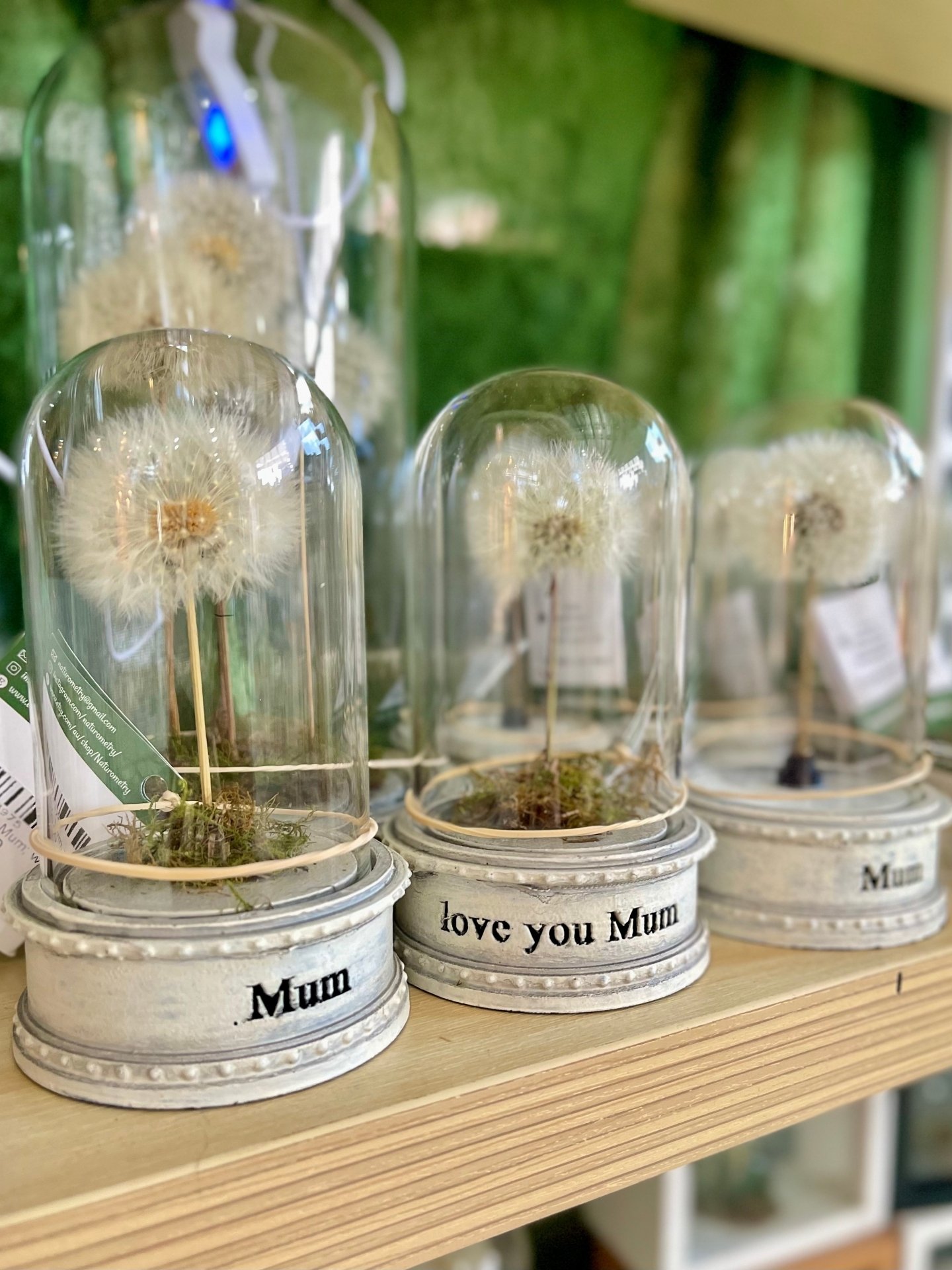 A gift that lasts longer than flowers 🌼
Naturometry&rsquo;s preserved dandelions capture something truly special, delicate, meaningful, and made to be treasured. The perfect way to spoil Mum this Mother&rsquo;s Day 🤍
*
*
*
*
*
#melbournemarket #ind