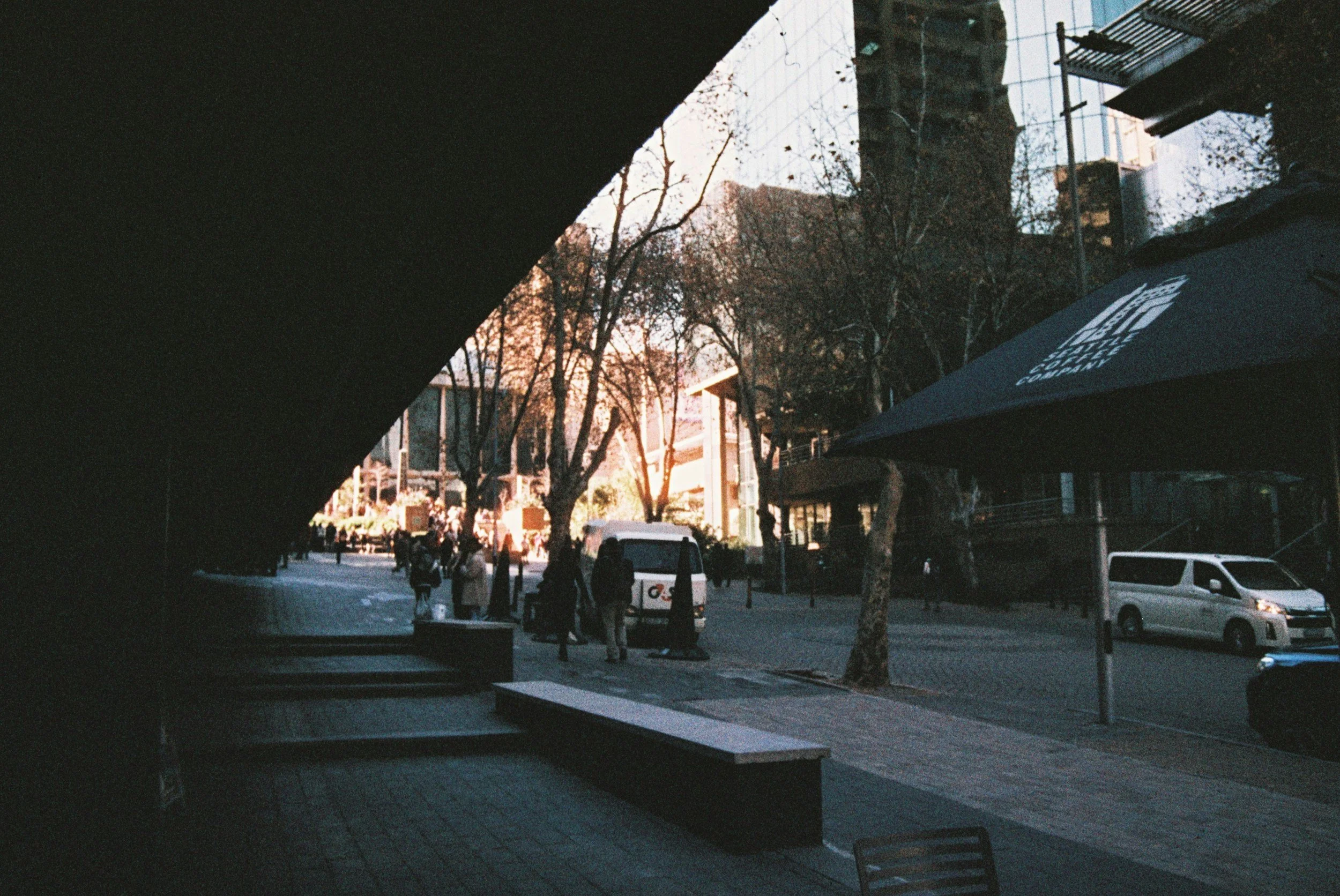 Who is the Best PMDD Naturopath in Takapuna?