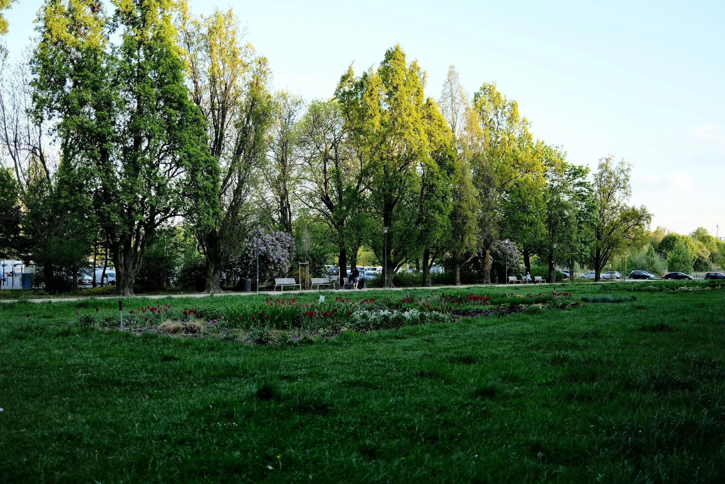 What is the best therapy for PMDD in Hove?