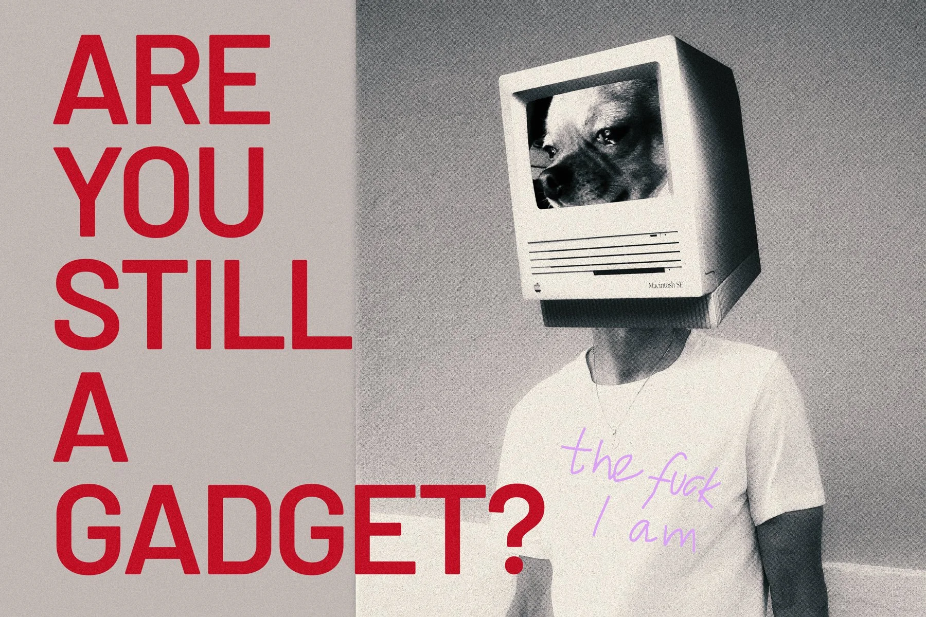 Are you still a gadget?