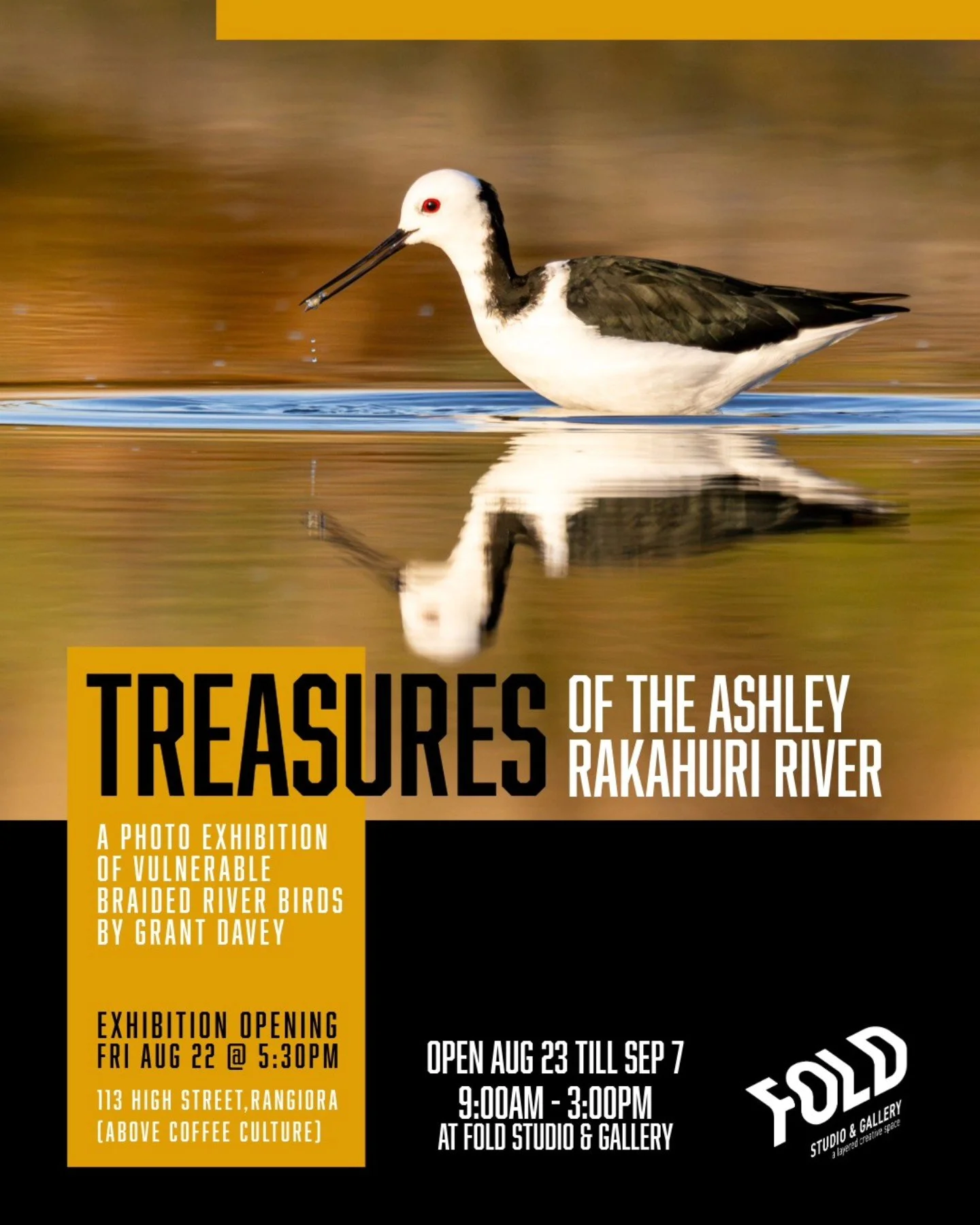 Treasures of the Ashley Rakahuri River