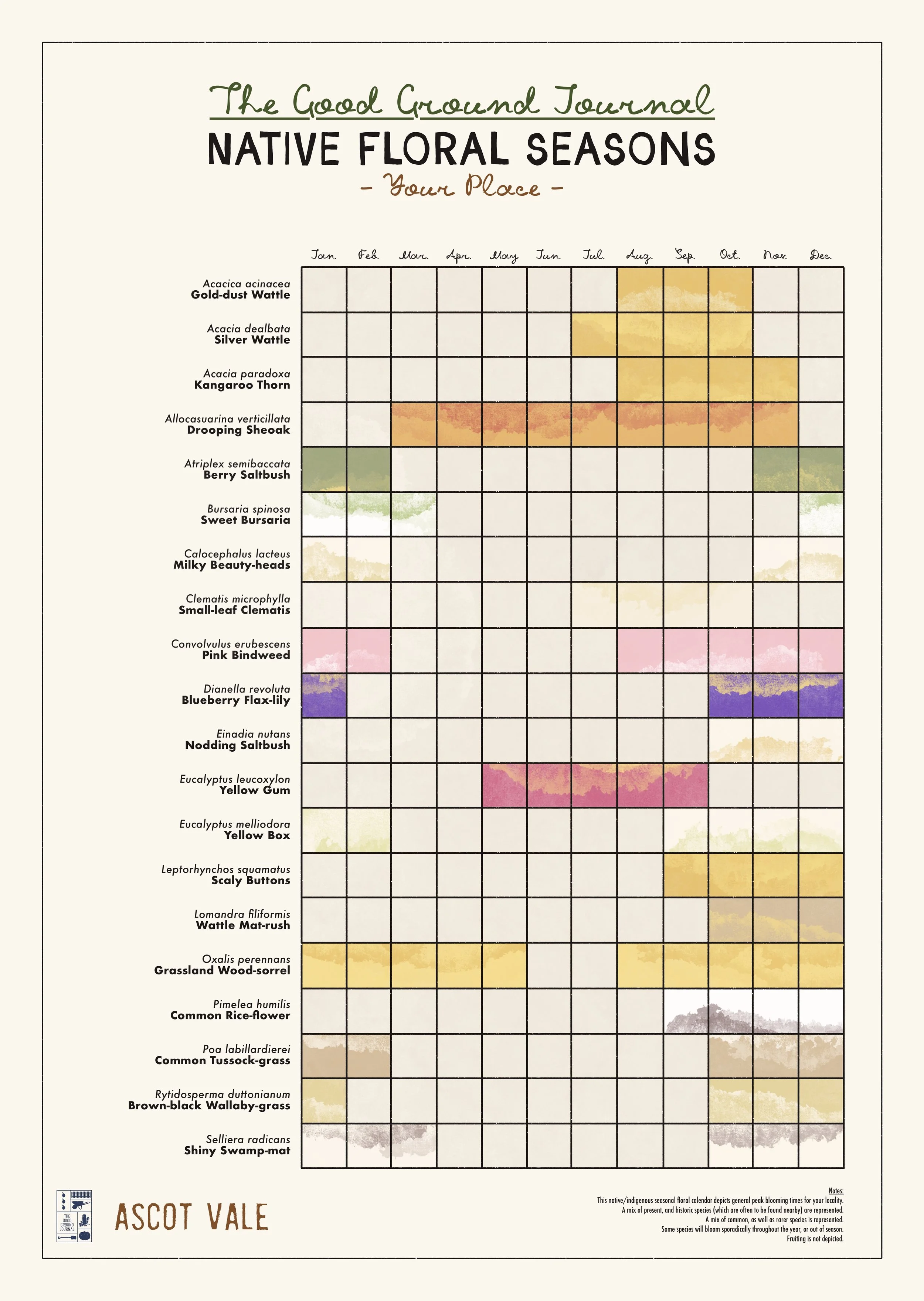 Ascot Vale - Melbourne Region Native Floral Seasonal Calendar