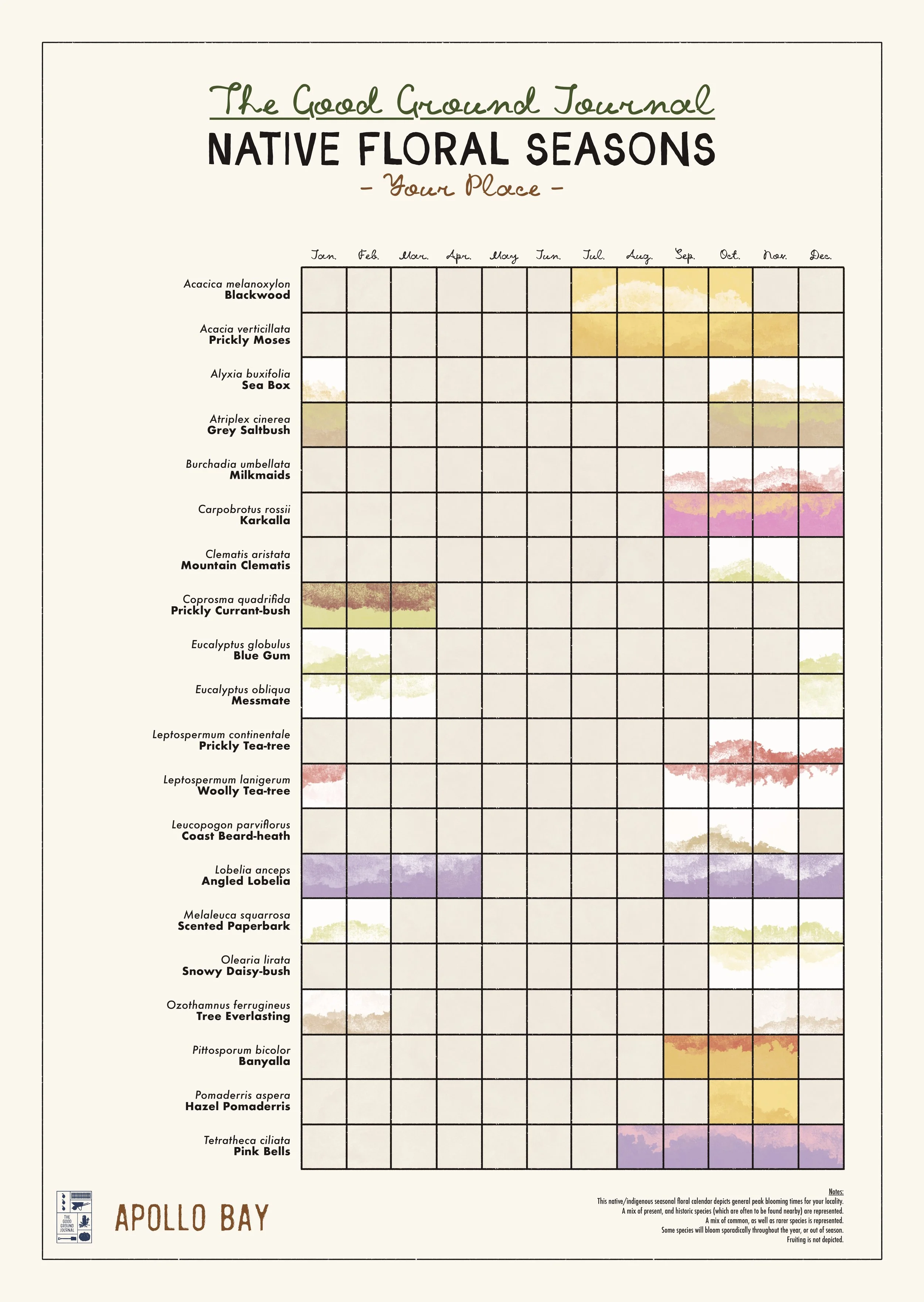 Apollo Bay - Regional Victoria Native Floral Seasonal Calendar