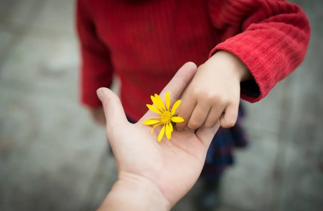 Un bambino in maglia rossa che riceve un Fiore giallo da una mano adulta.