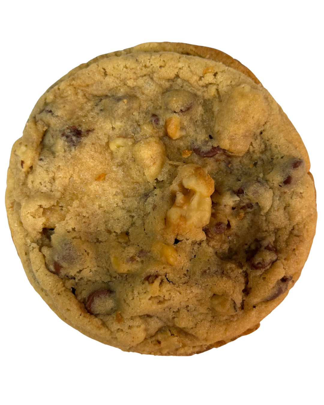 WALNUT CHOC CHIP