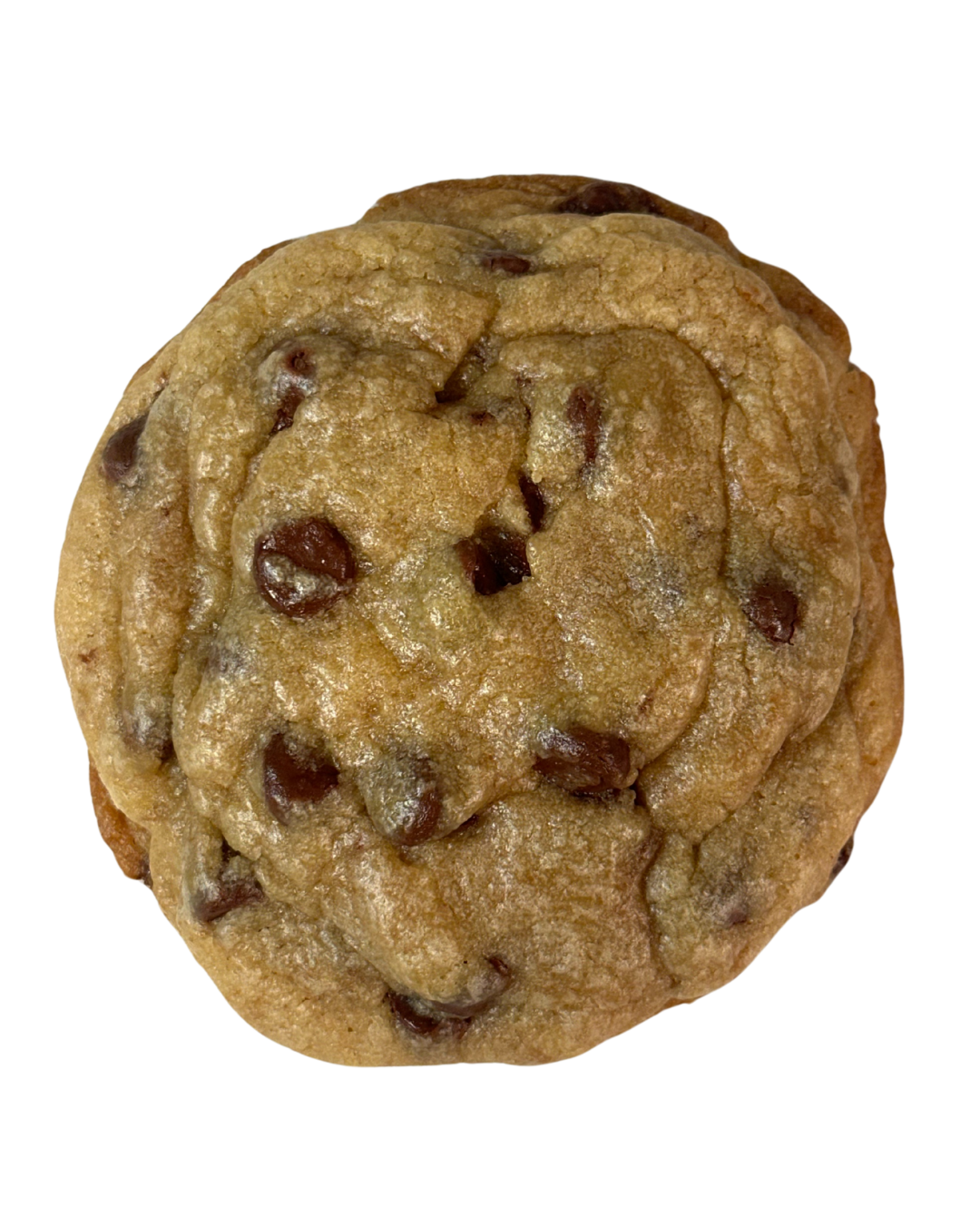 CHOC CHIP