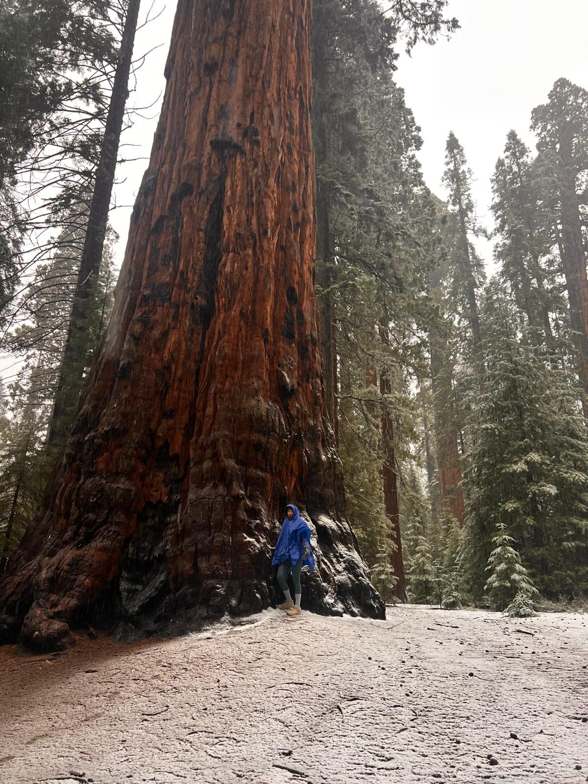 Surrounded by Giants