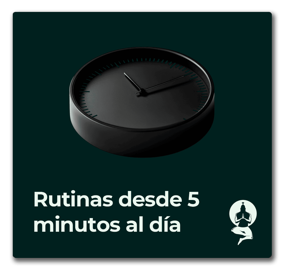 ren training rutinas desde 5 minutos al dia