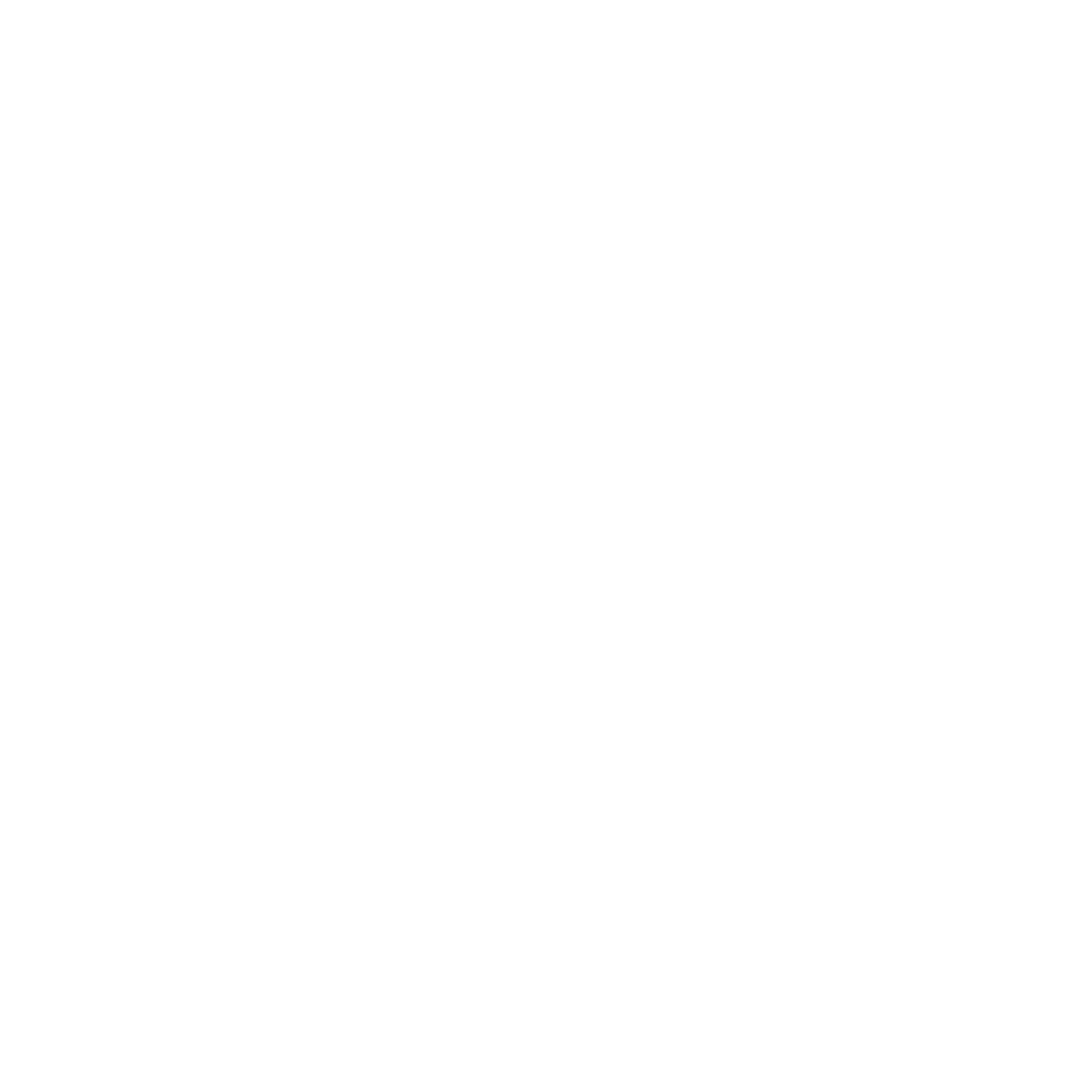 Icon of a target with concentric circles and an arrow hitting the center.