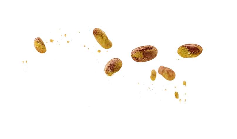 Whole pistachios floating in air showcasing fresh, natural nuts for Nutchio pistachio butter