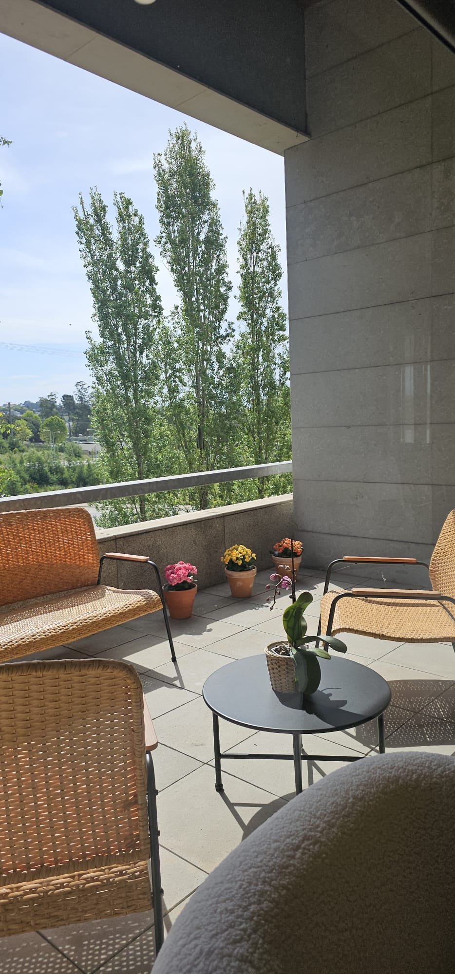 WhatsApp Image 2025-06-18 at 22.47.30.jpeg