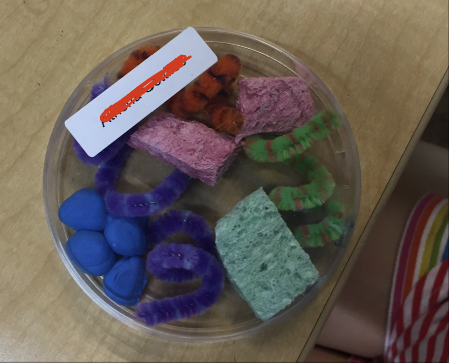 Microbiology begins with Germs and Viruses in Summer Camps at KSL