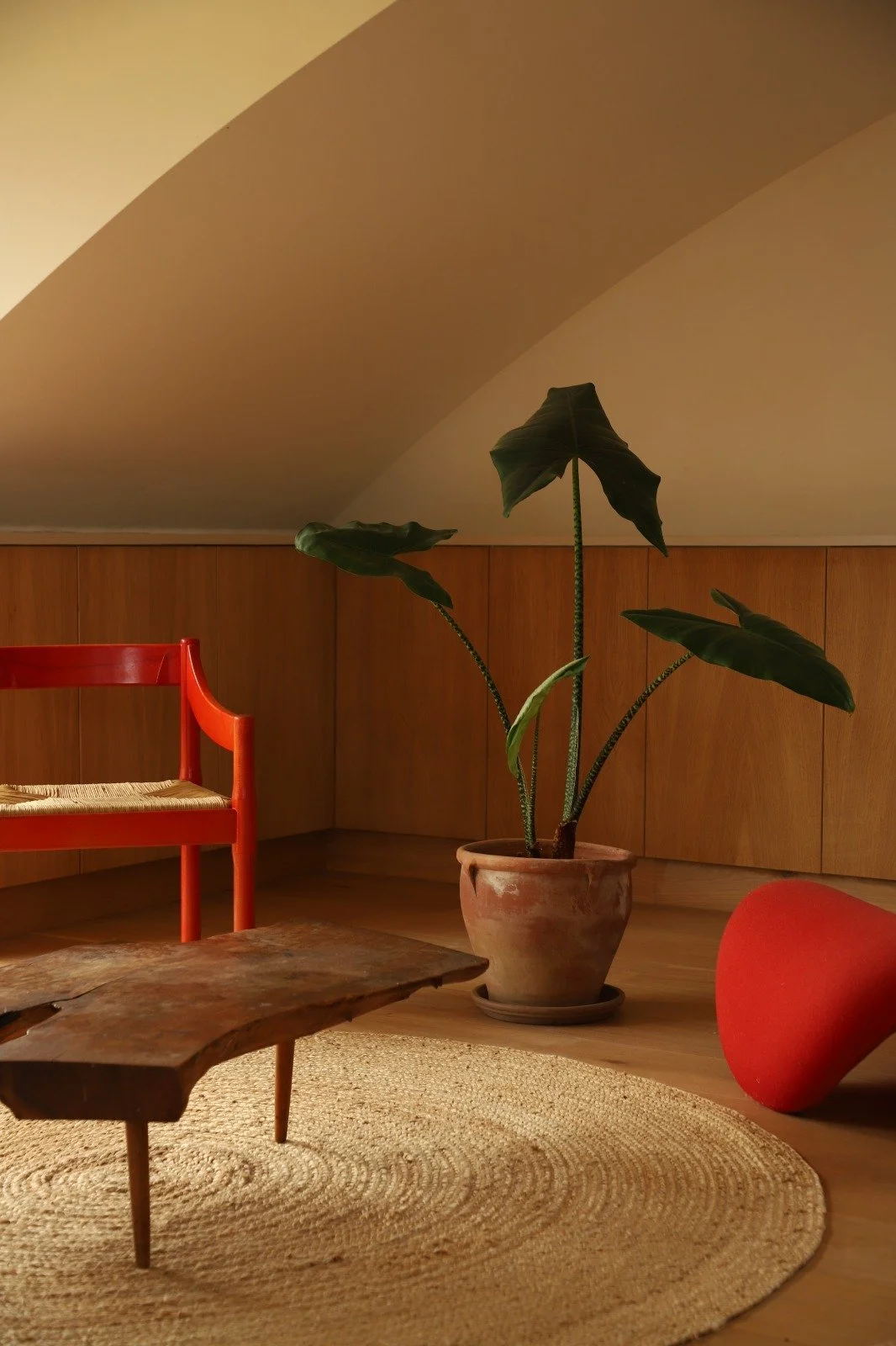 WhatsApp Image 2025-08-31 at 21.47.29.jpeg