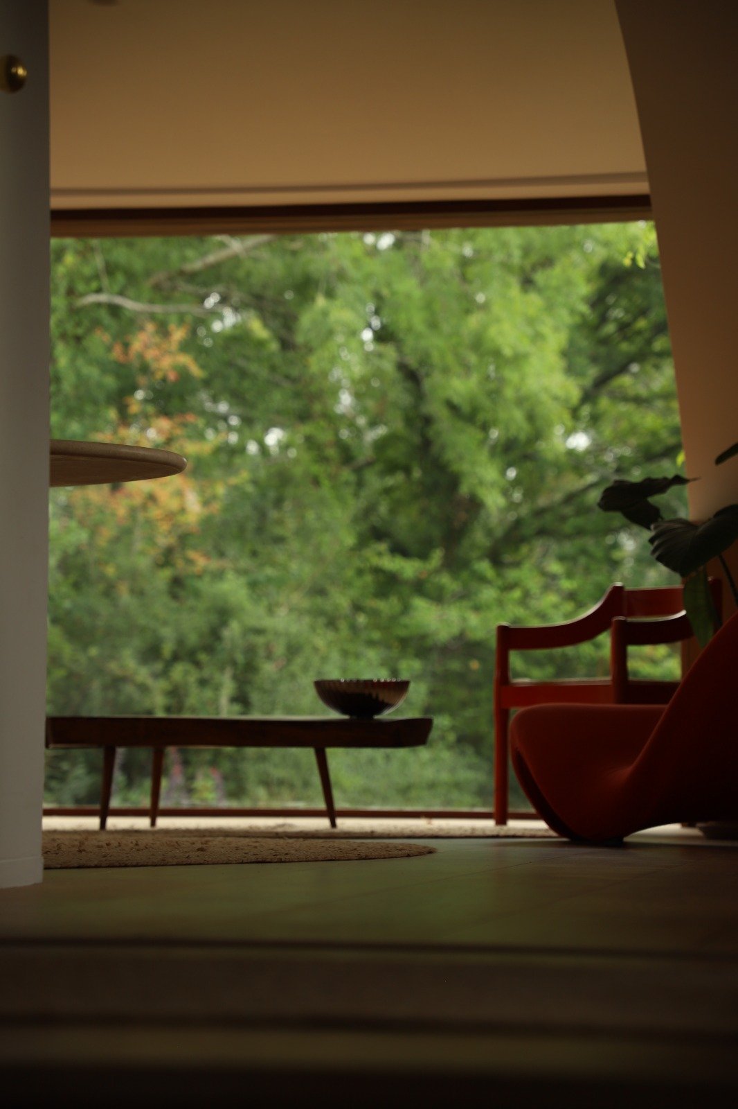 WhatsApp Image 2025-08-31 at 21.48.34.jpeg