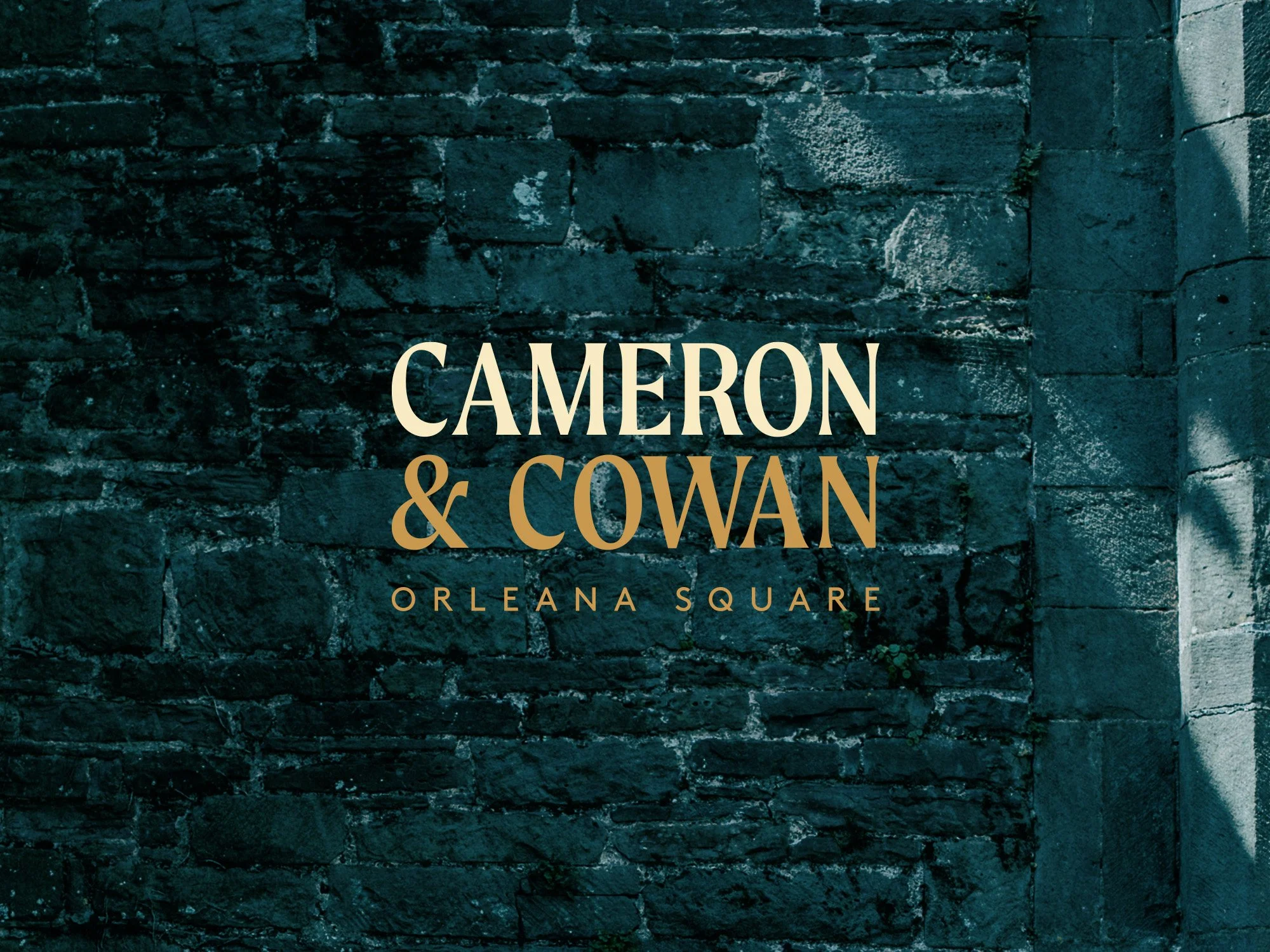 Cameron Cowan-Brand-Holding.jpg