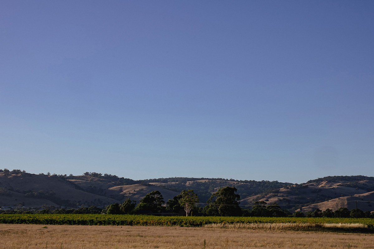 Gembrook-5.jpg
