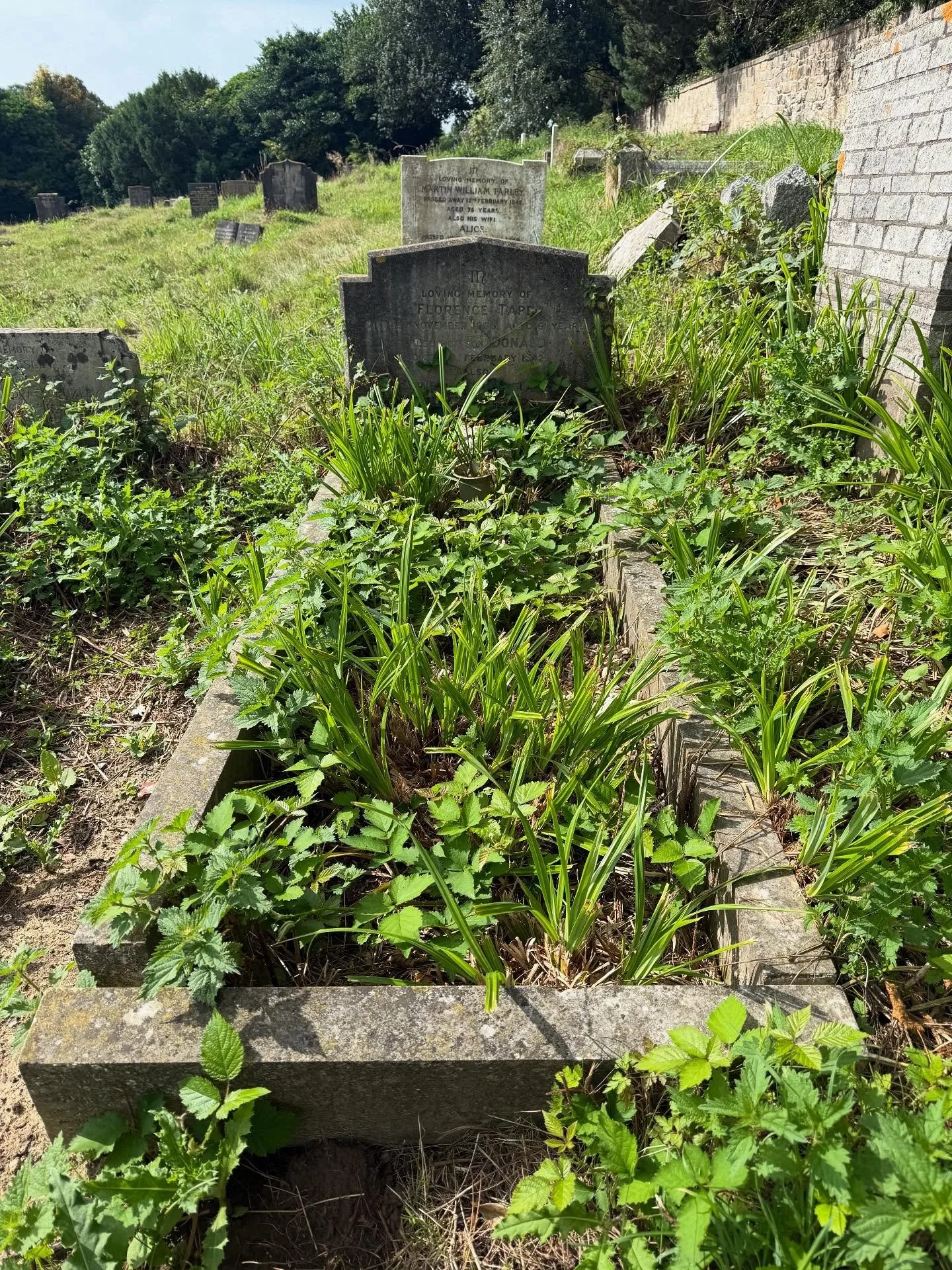 A recent one in Hastings cemetery for Sharon Sherwood&rsquo;s Nan and Grandad
