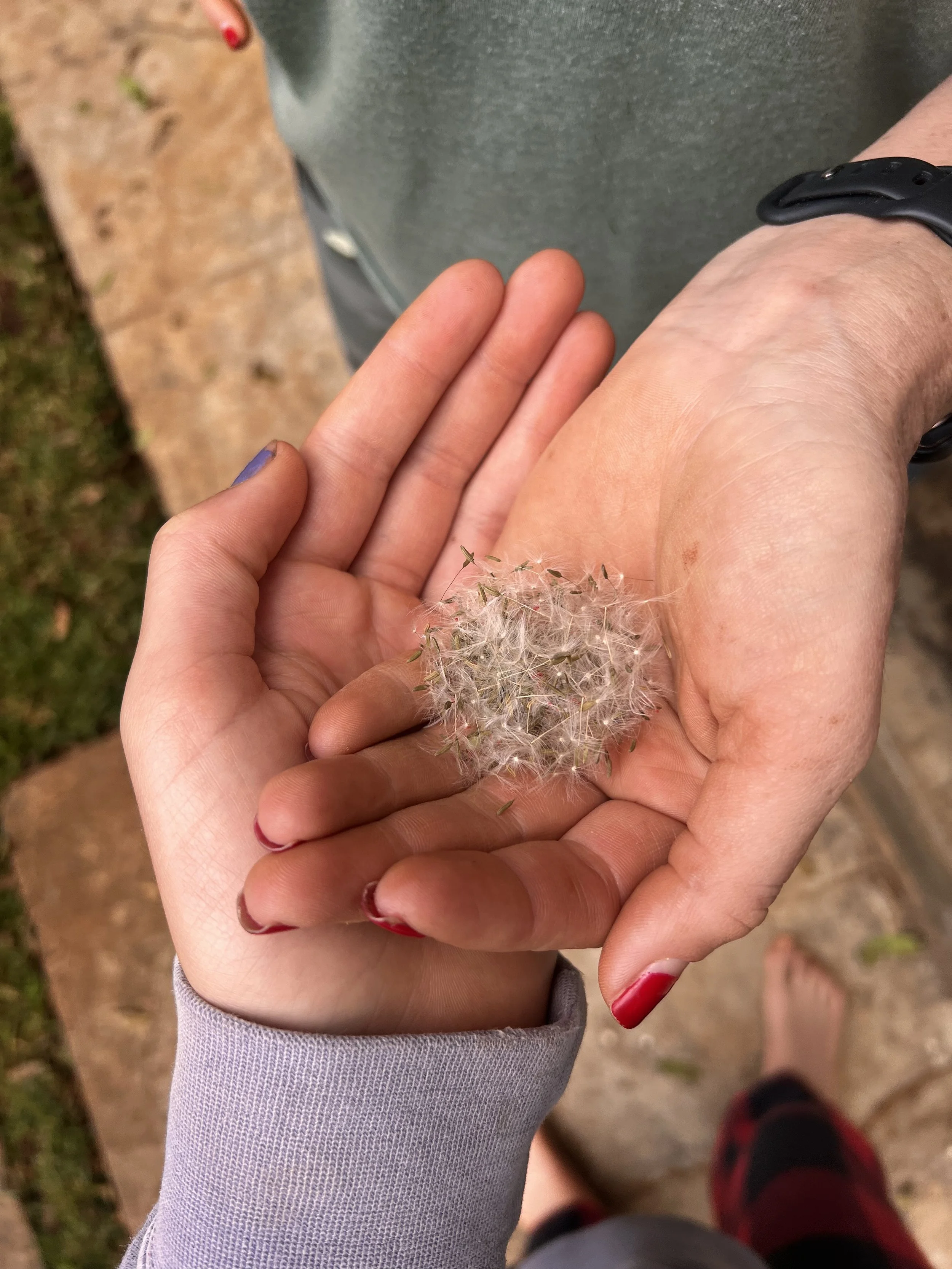 The Stoic Classroom (Wisdom)