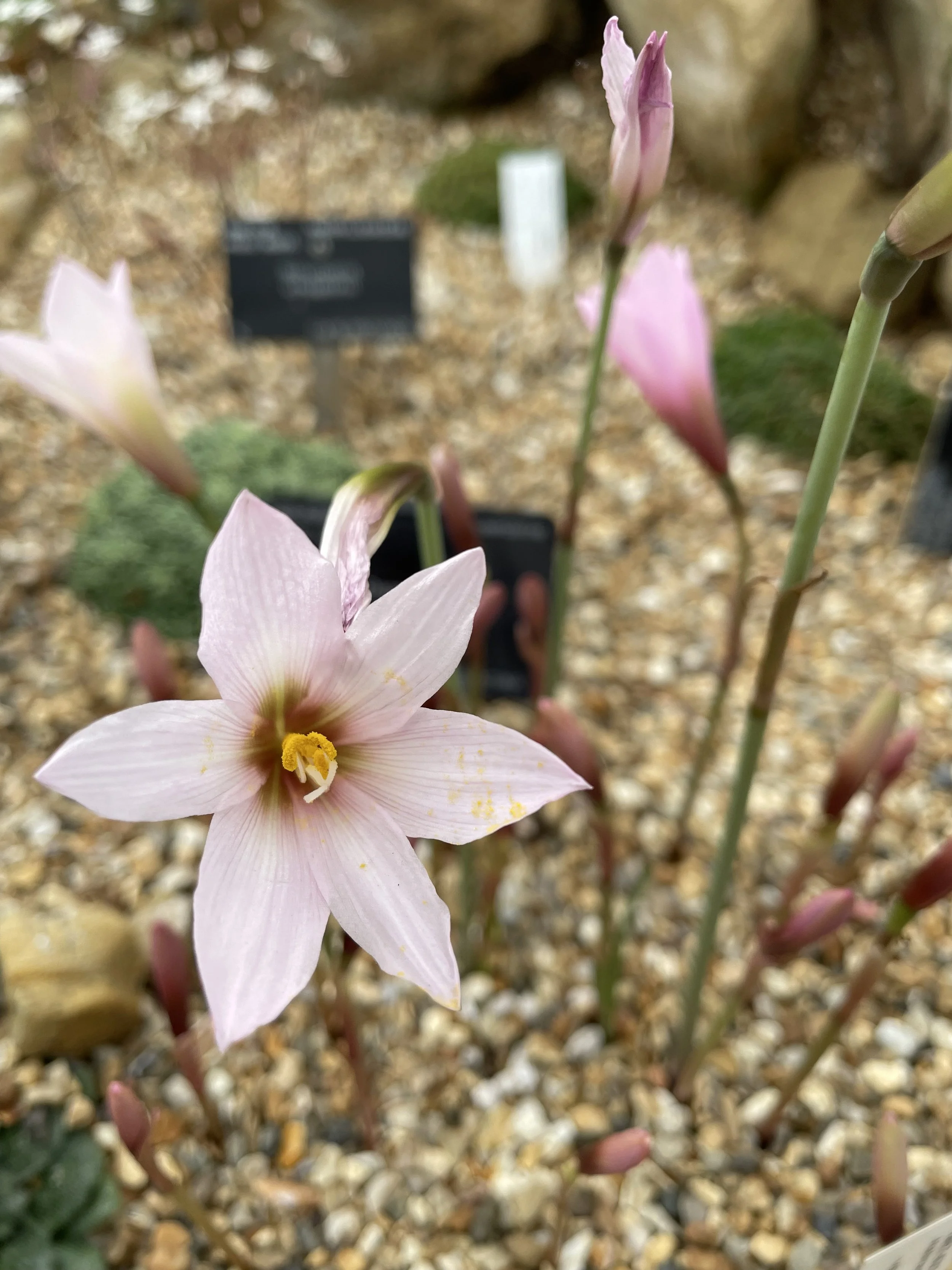 What is your mindset and where does it come from?