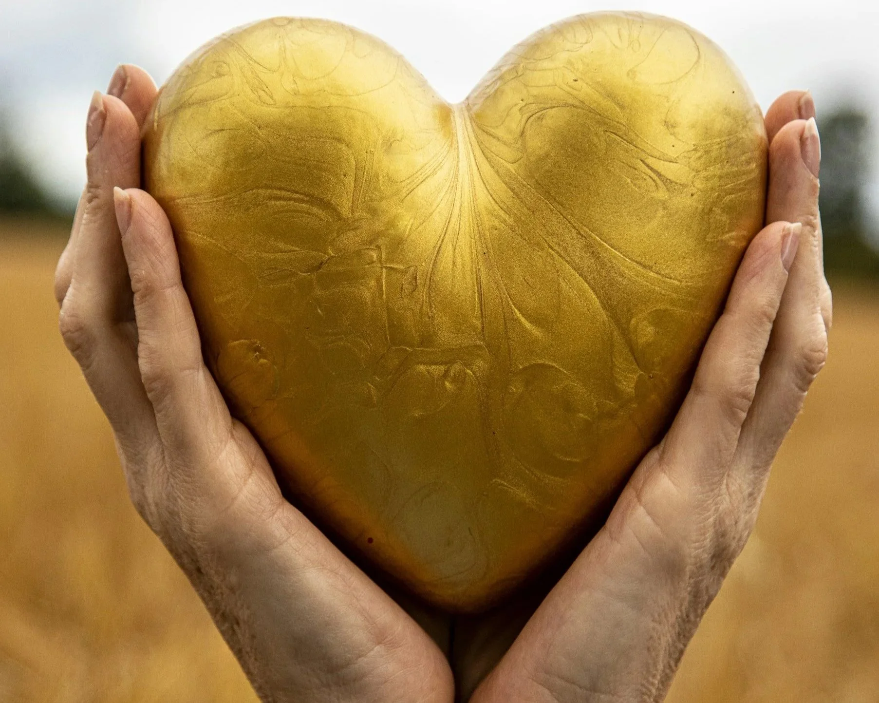 The Heart of Gratitude: Remembering What Truly Matters