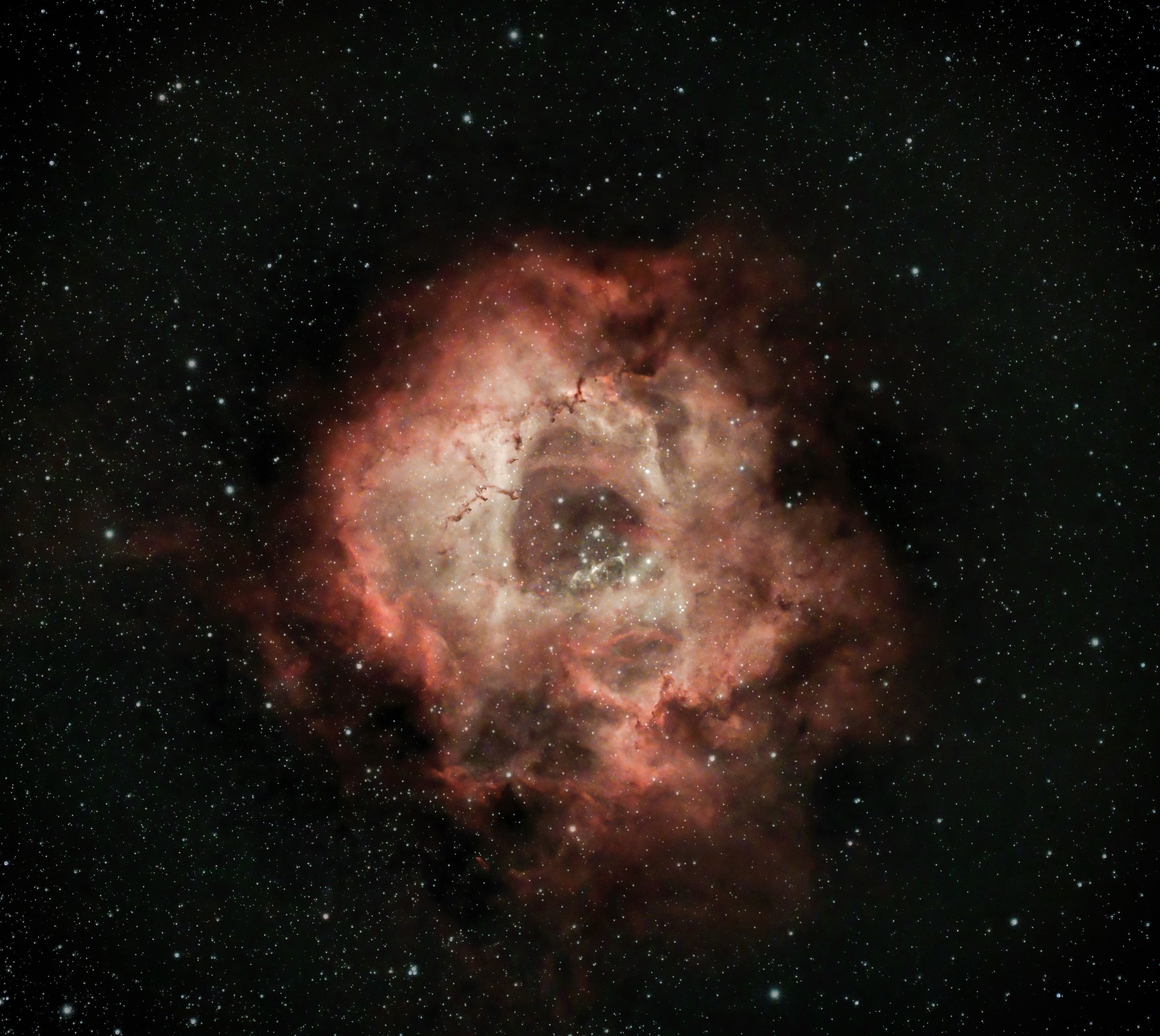 The Rosette Nebula