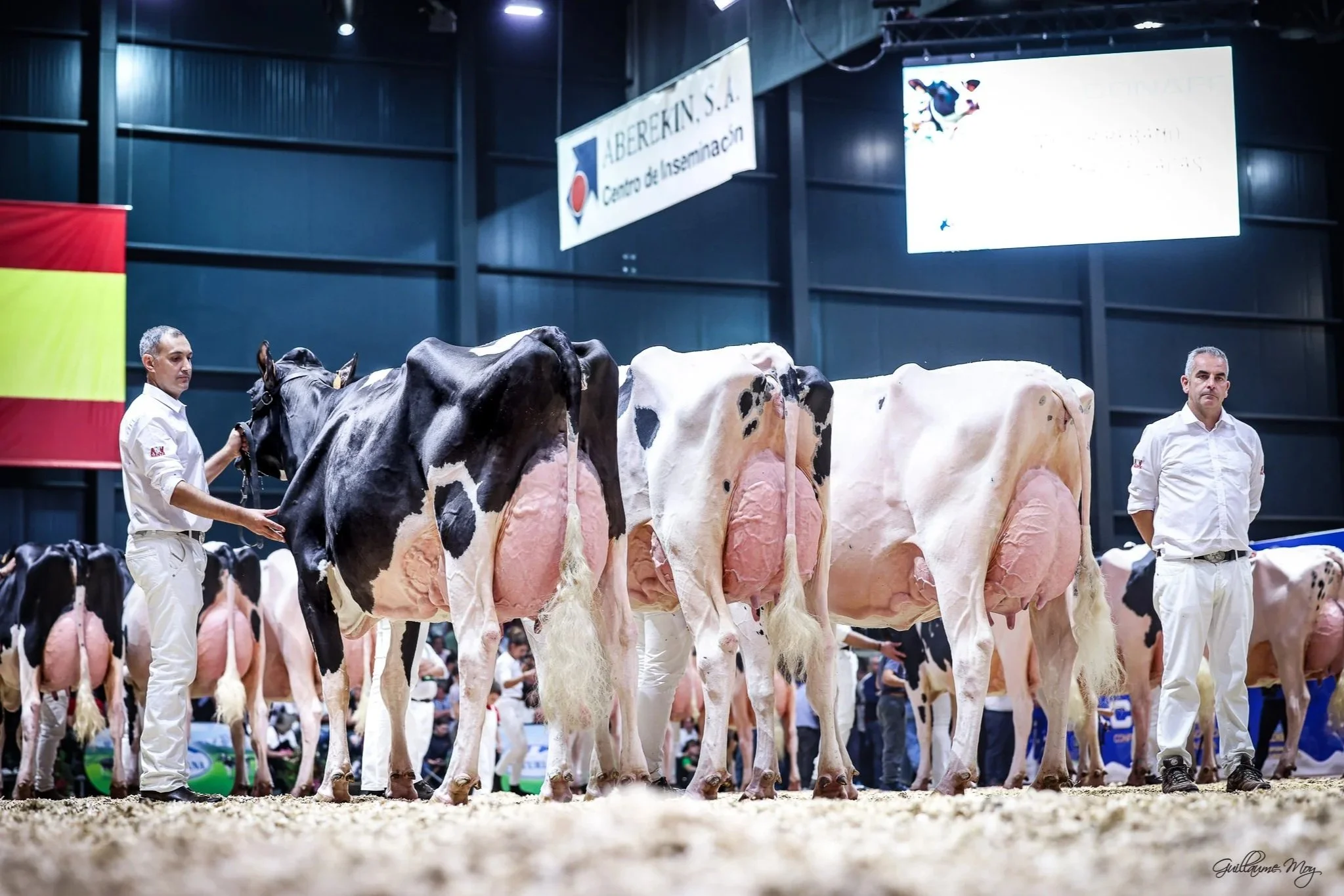 Mejor Rebaño Nacional 2025 - Concurso Nacional CONAFE  2025