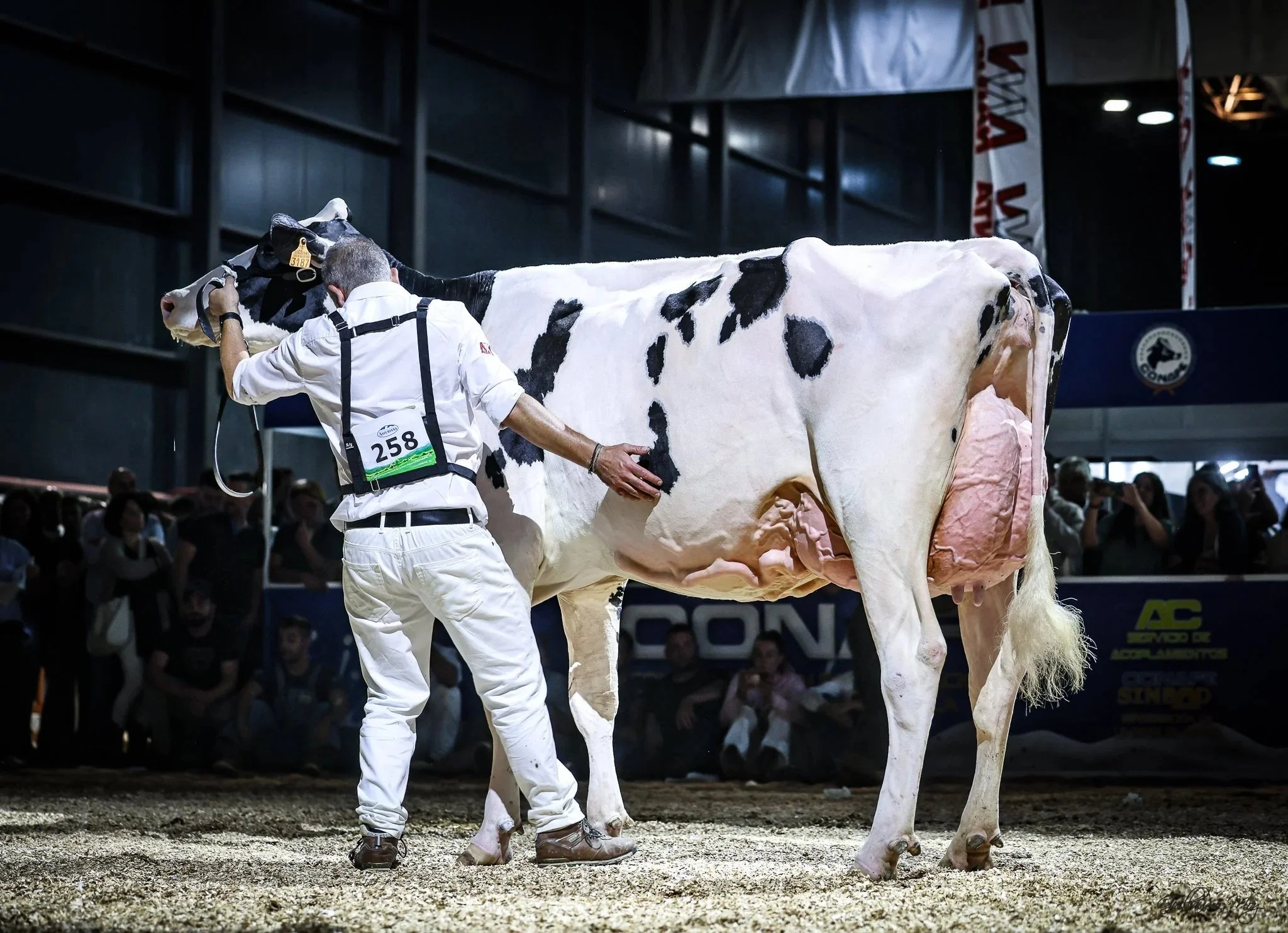 Peto Aida Arrow, con Javier Álvarez - Concurso Nacional CONAFE  2025