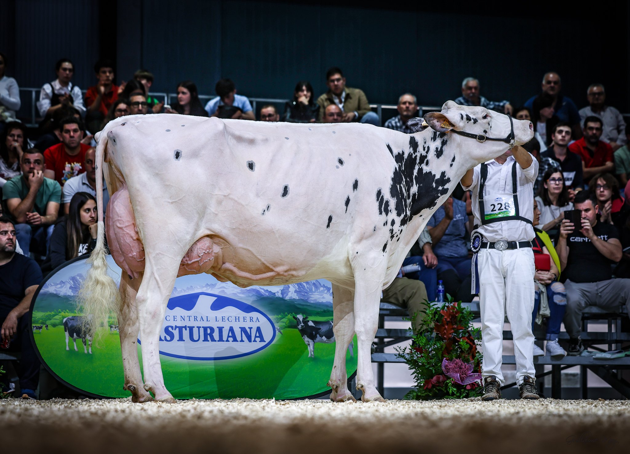 Gorrella Chekia Hannans - Concurso Nacional CONAFE  2025