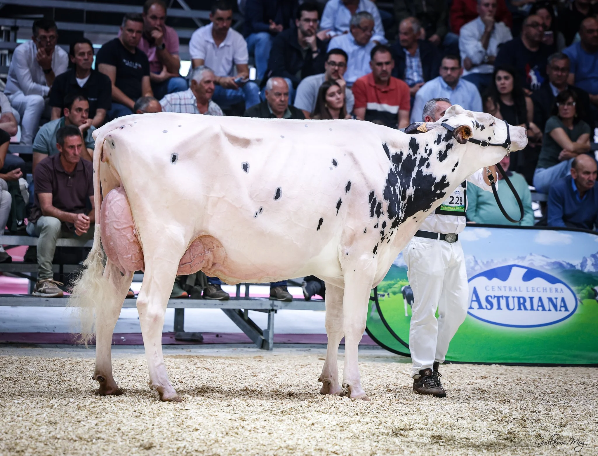 Gorrella Chekia Hannans - Concurso Nacional CONAFE  2025