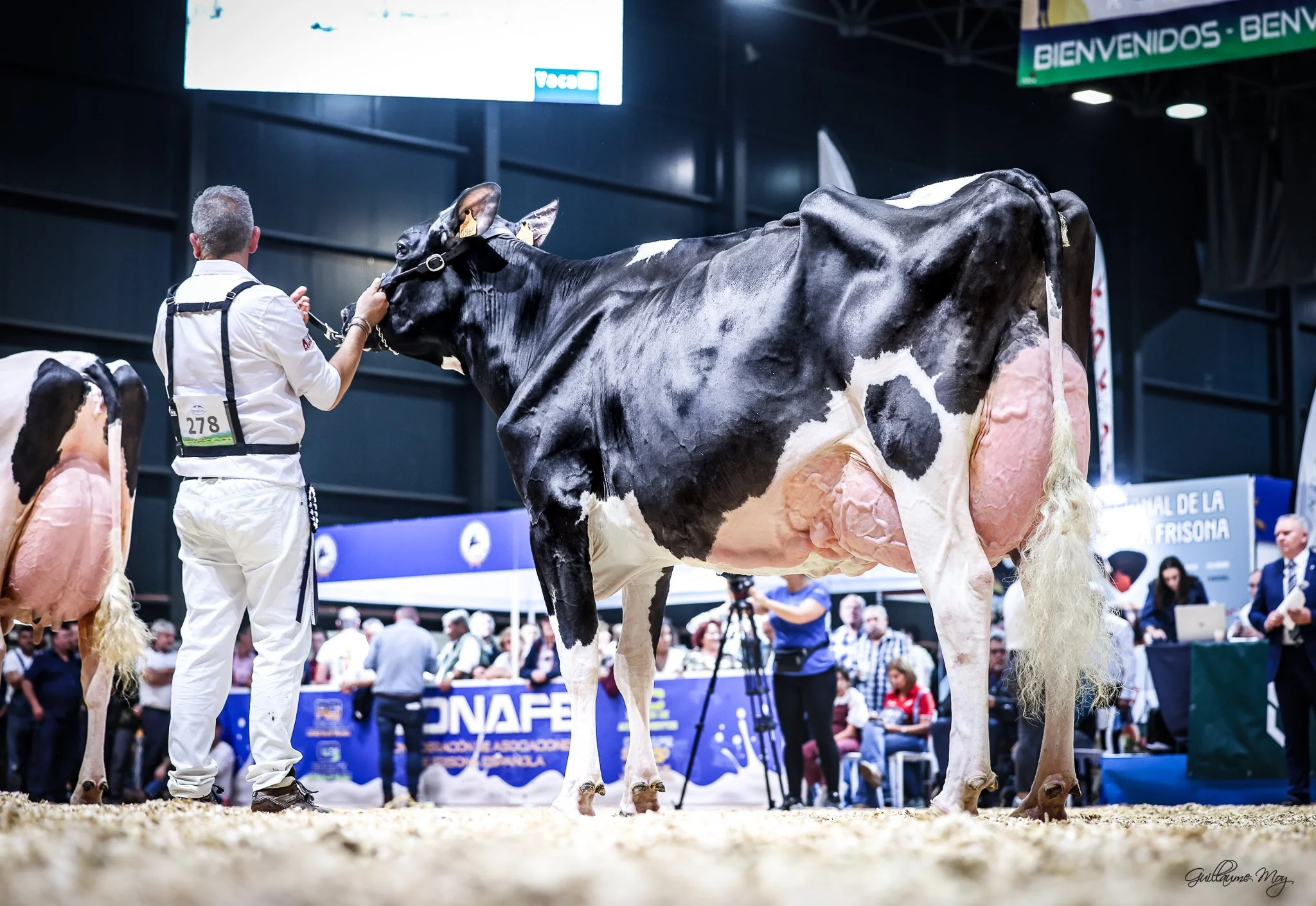 Gorrella Rápida Rapid - Concurso Nacional CONAFE  2025