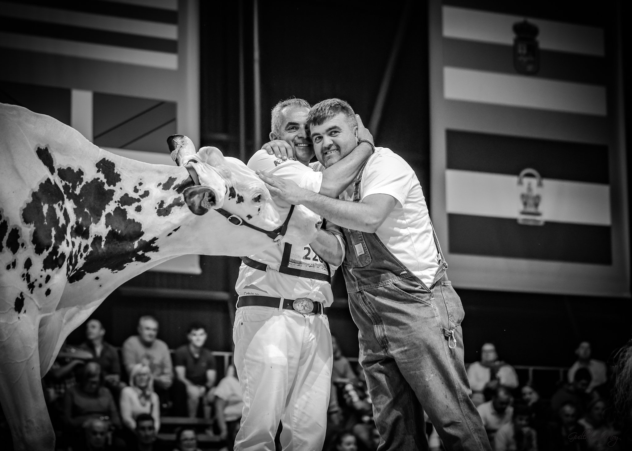 Javier y Jairo, dueños de XEYGO Holsteins