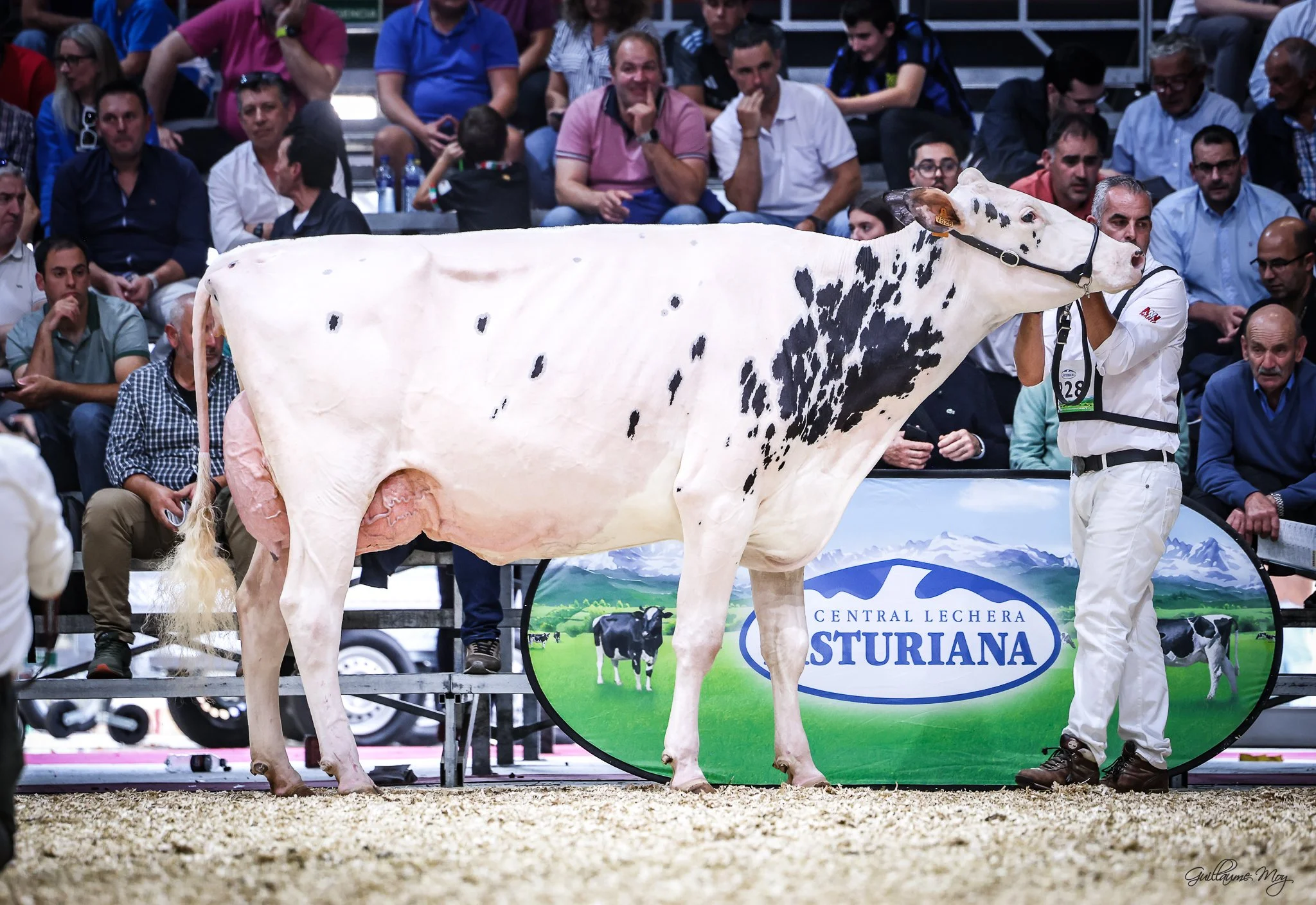 Gorrella Chekia Hannans - Concurso Nacional CONAFE  2025